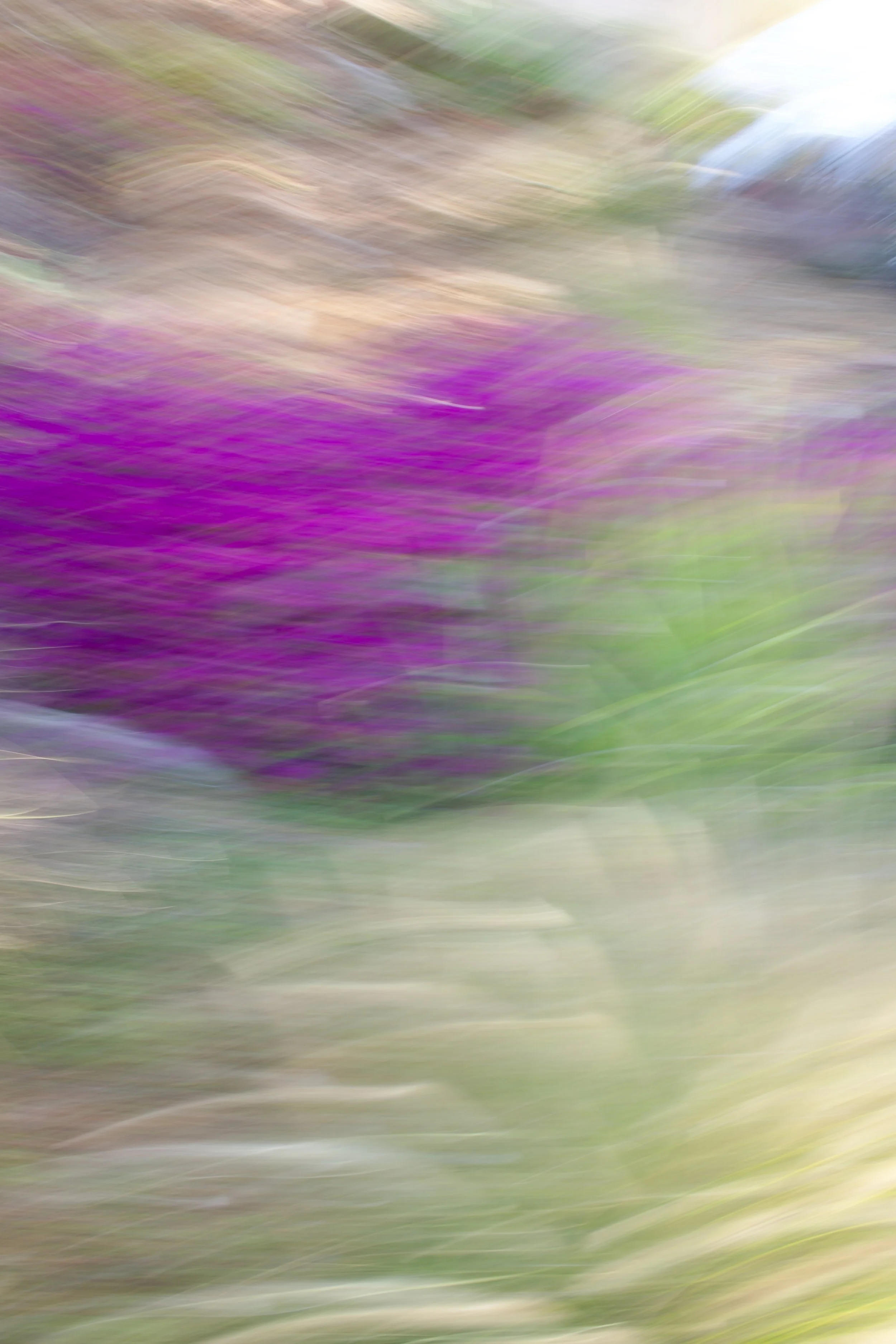  Movement 2023:97 (2023) C-print on wood panel, 60”x40” 