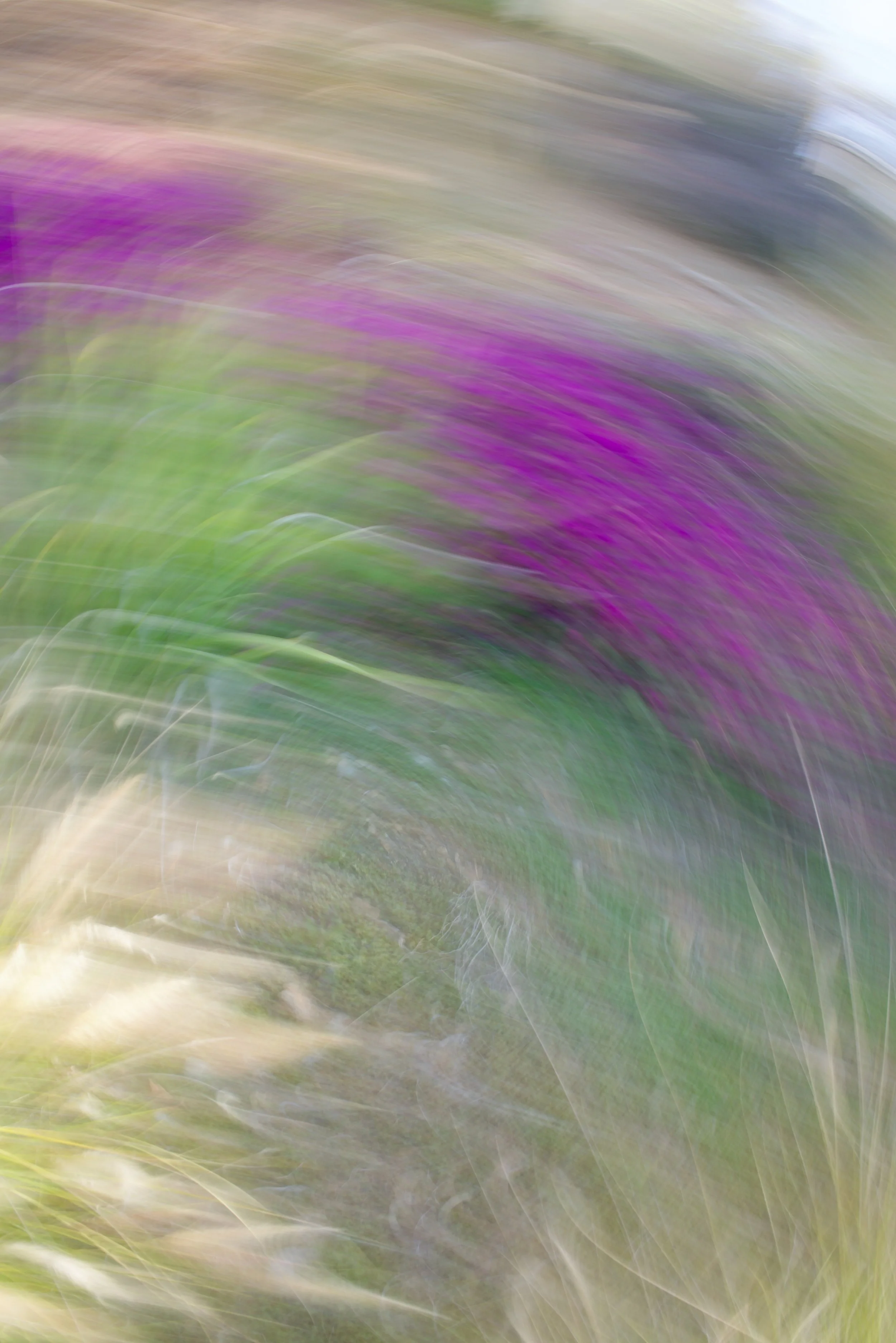  Movement 2023:98 (2023) C-print on wood panel, 60”x40” 