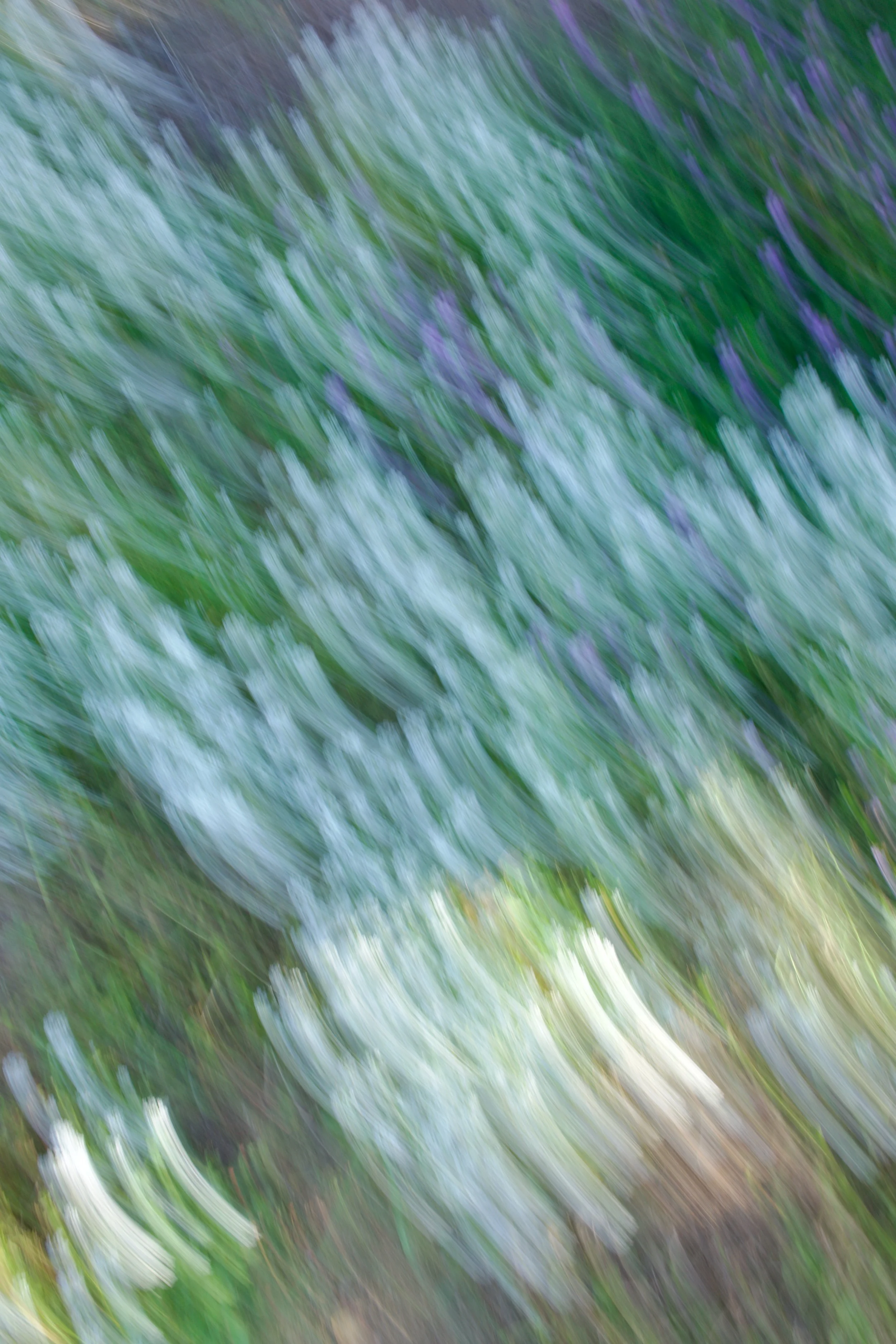  Movement 2023:99 (2023) C-print on wood panel, 60”x40” 