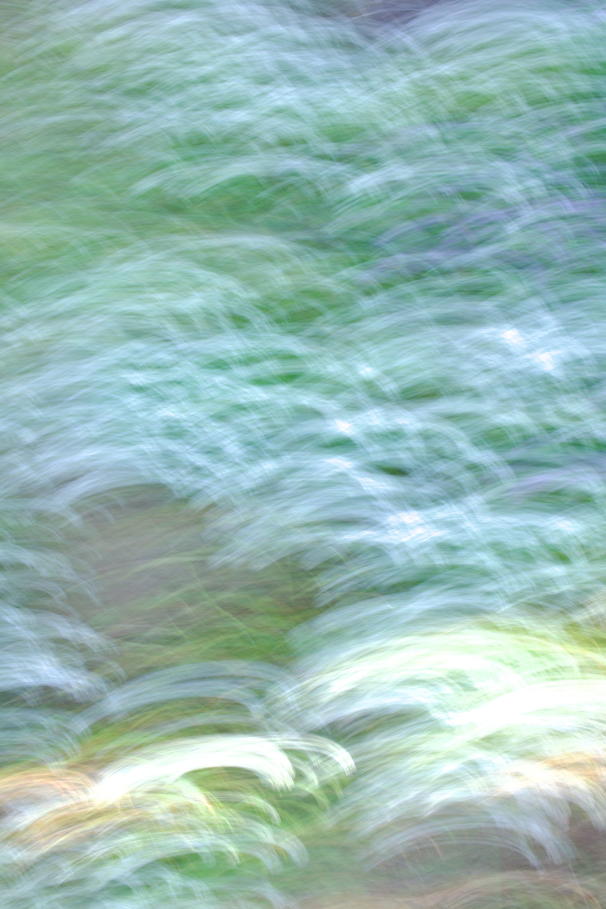 Movement 2023:10 (2023) C-print on wood panel, 60”x40”