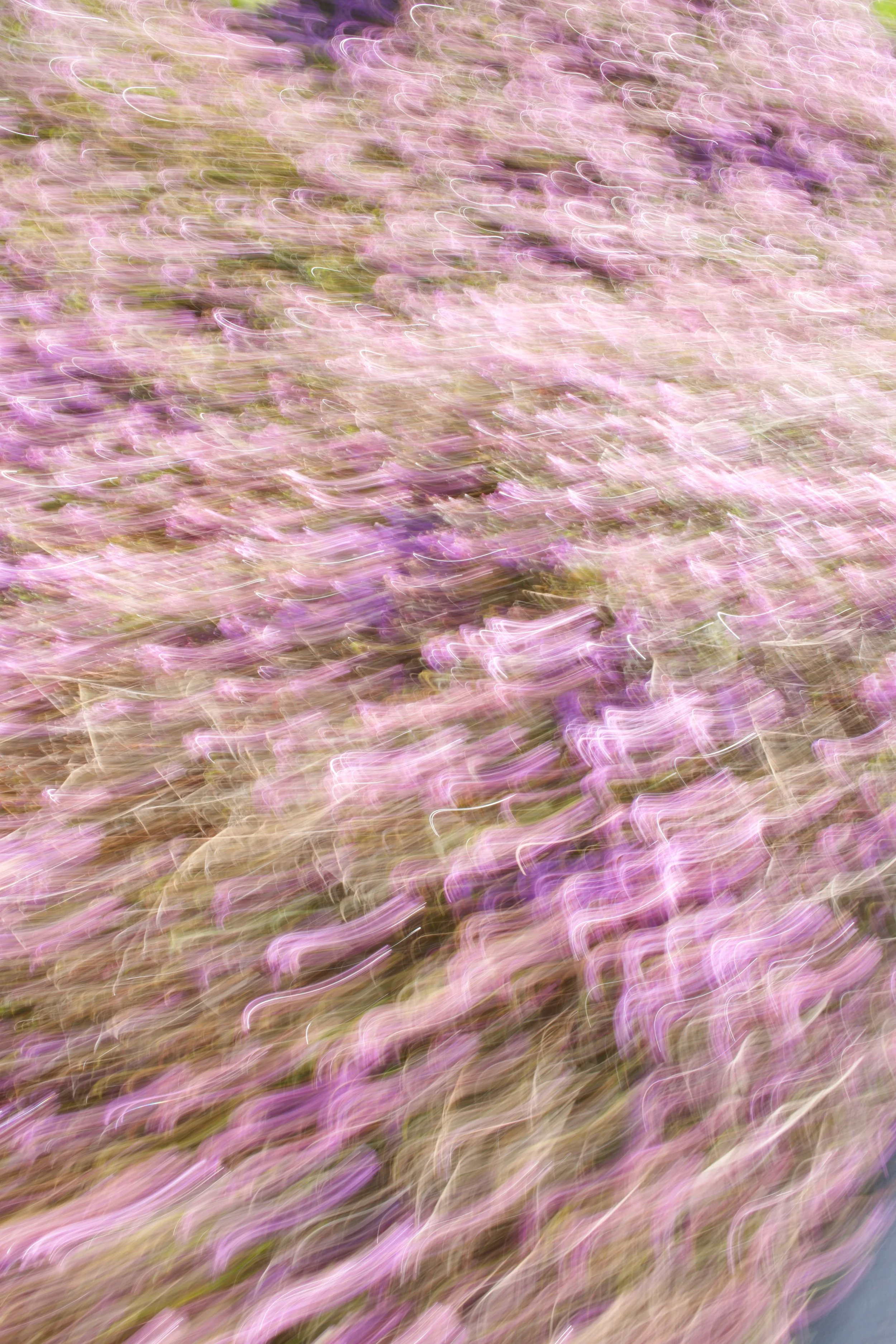  Movement 2023:101 (2023) C-print on wood panel, 60”x40” 