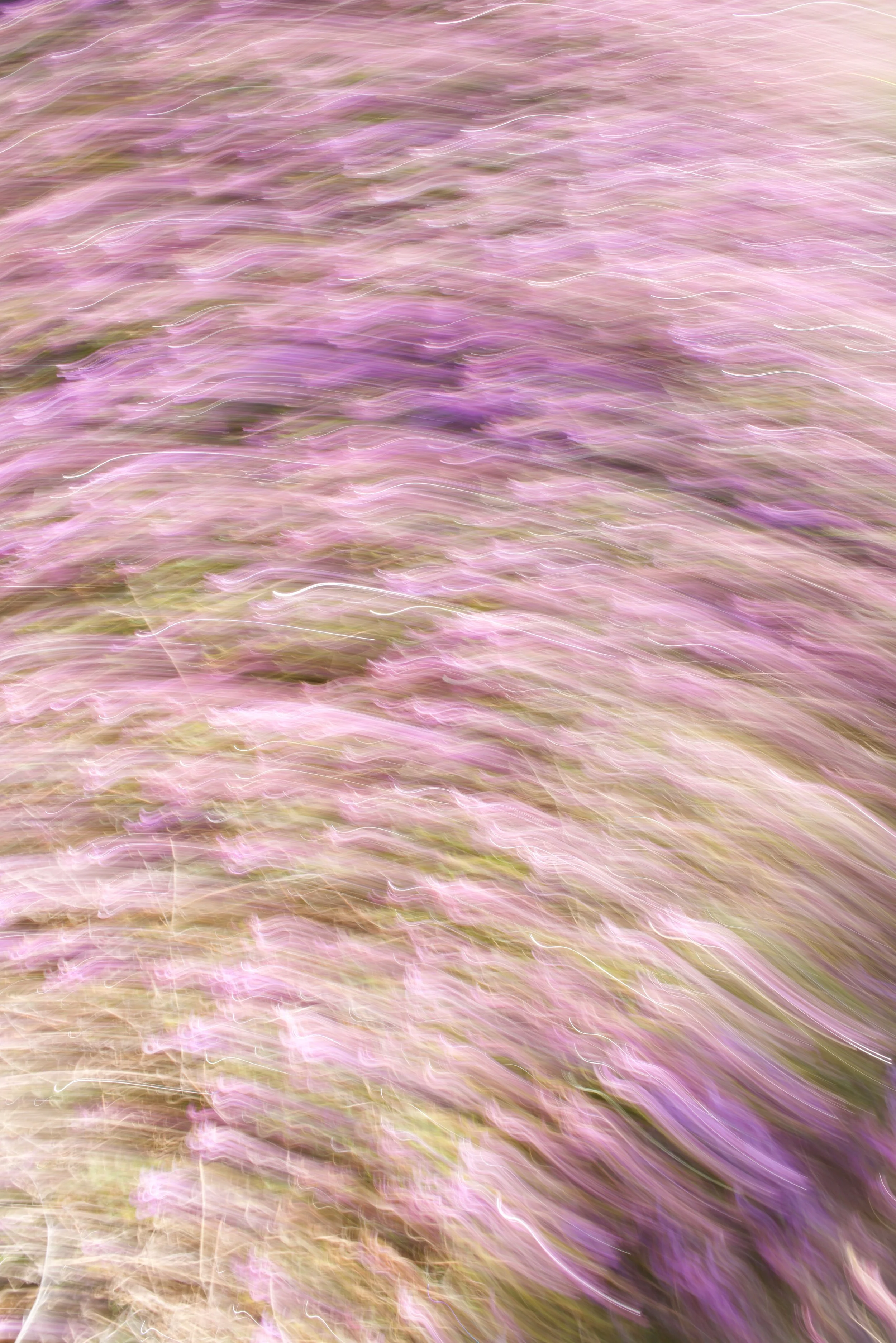  Movement 2023:102 (2023) C-print on wood panel, 60”x40” 