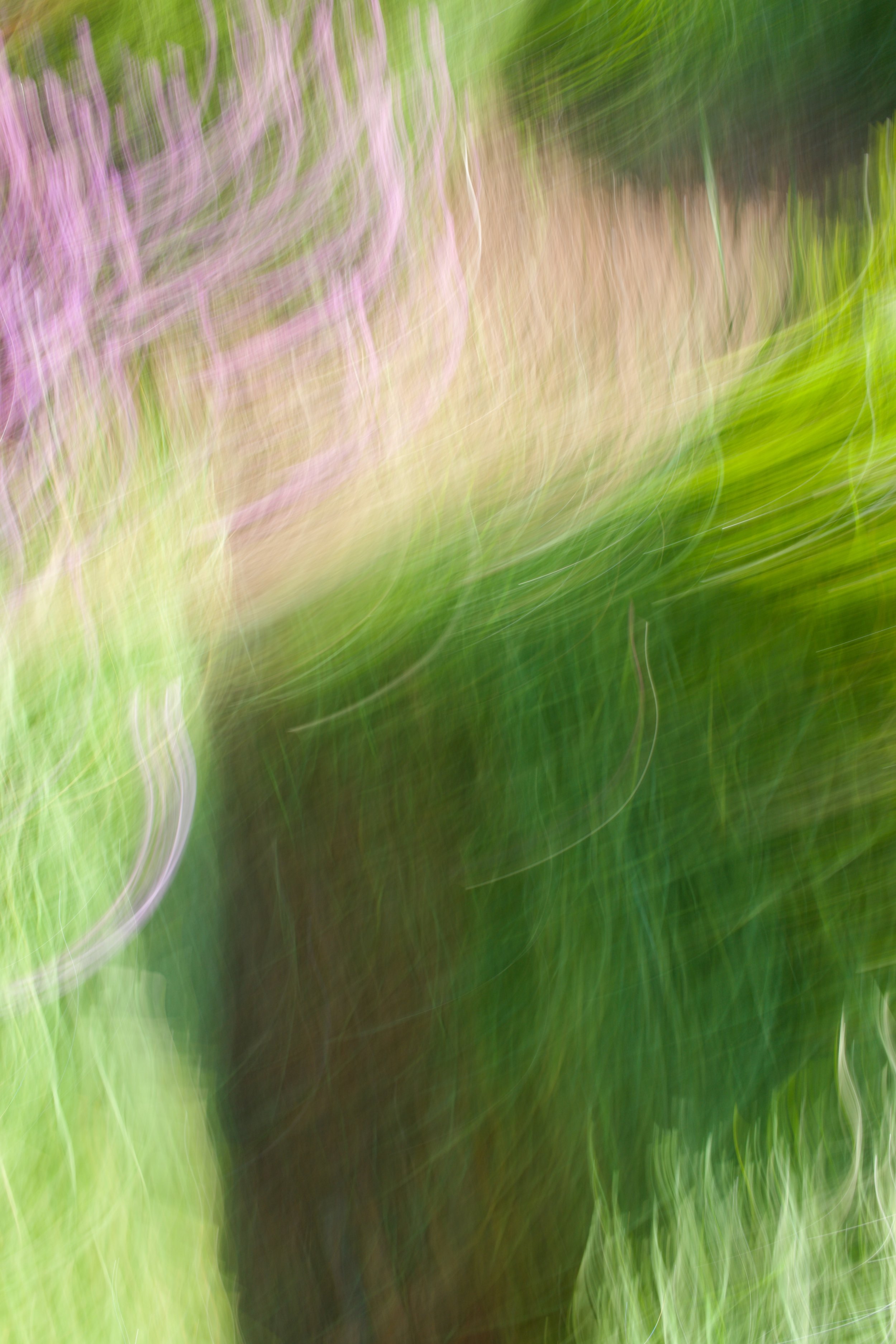  Movement 2023:103 (2023) C-print on wood panel, 60”x40” 