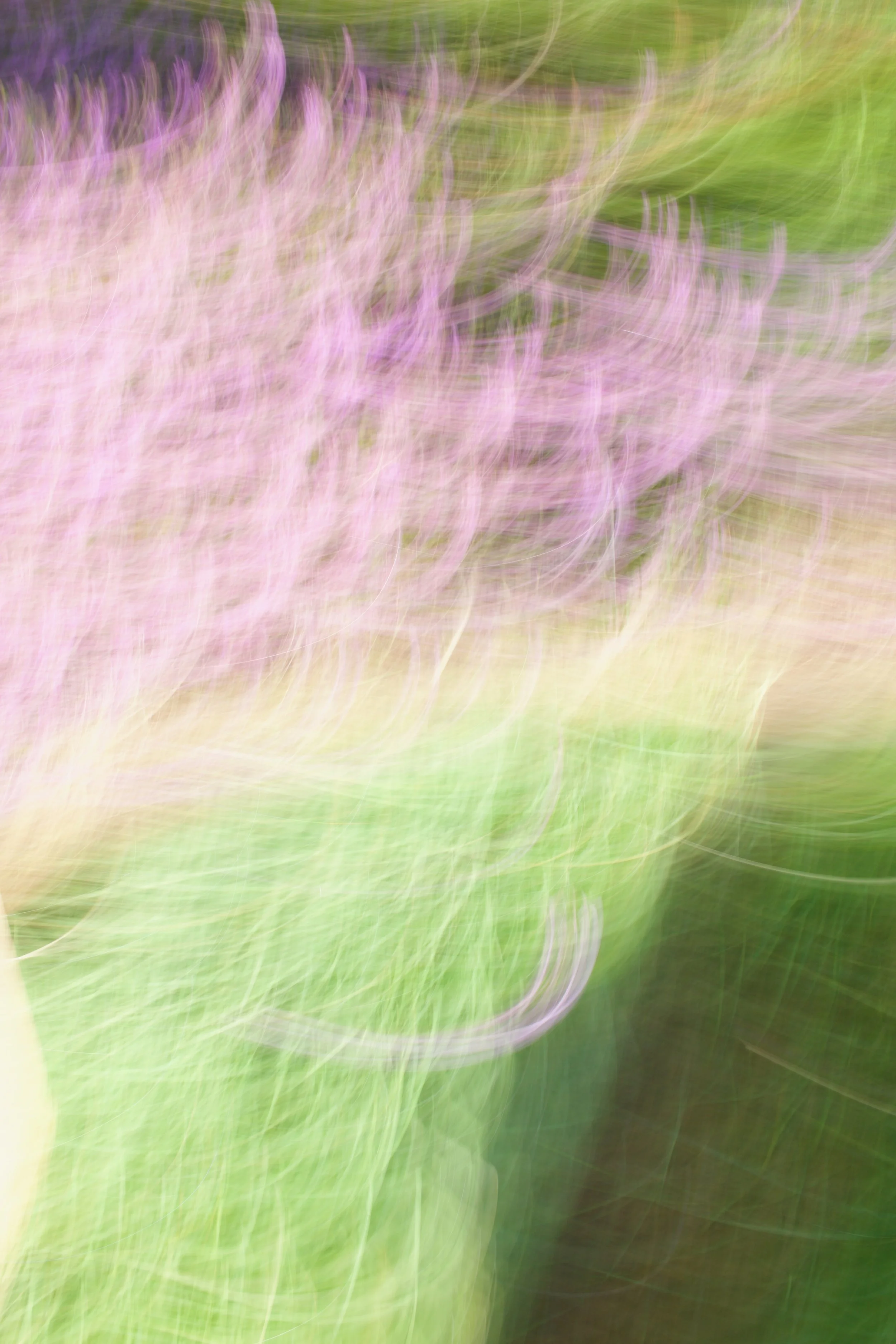  Movement 2023:104(2023) C-print on wood panel, 60”x40” 