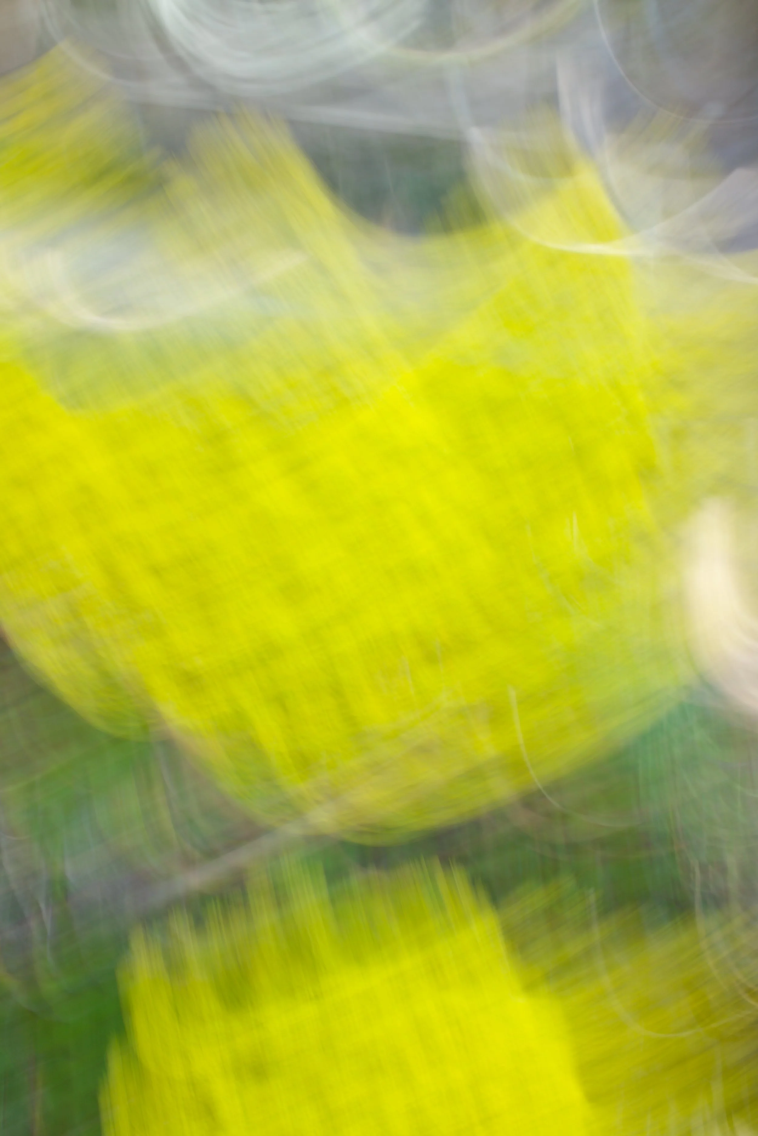  Movement 2023:106 (2023) C-print on wood panel, 60”x40” 