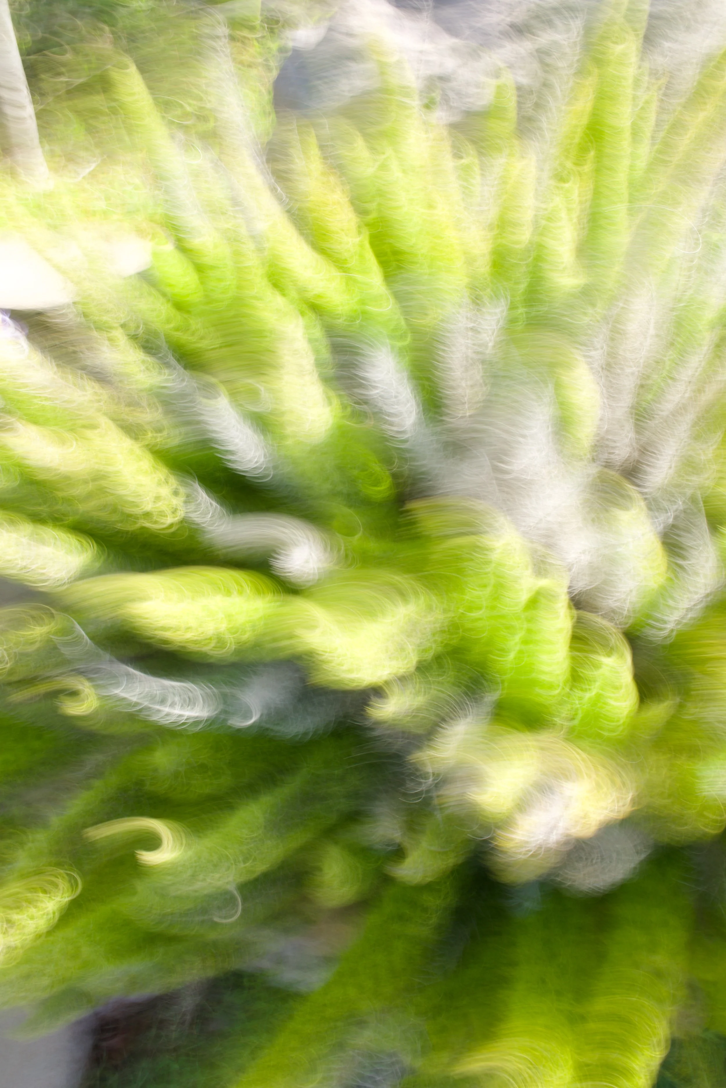  Movement 2023:105 (2023) C-print on wood panel, 60”x40” 