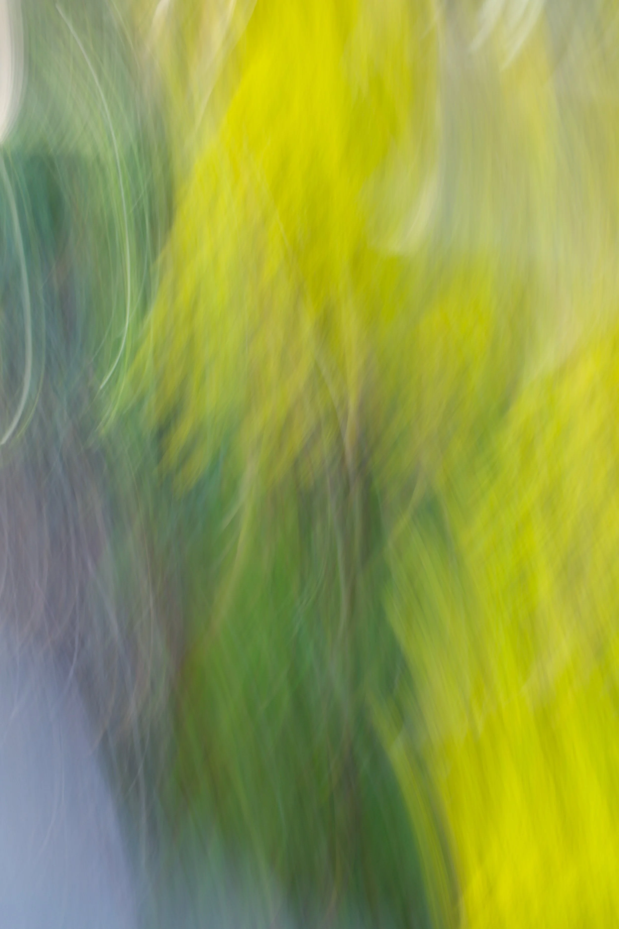  Movement 2023:108 (2023) C-print on wood panel, 60”x40” 