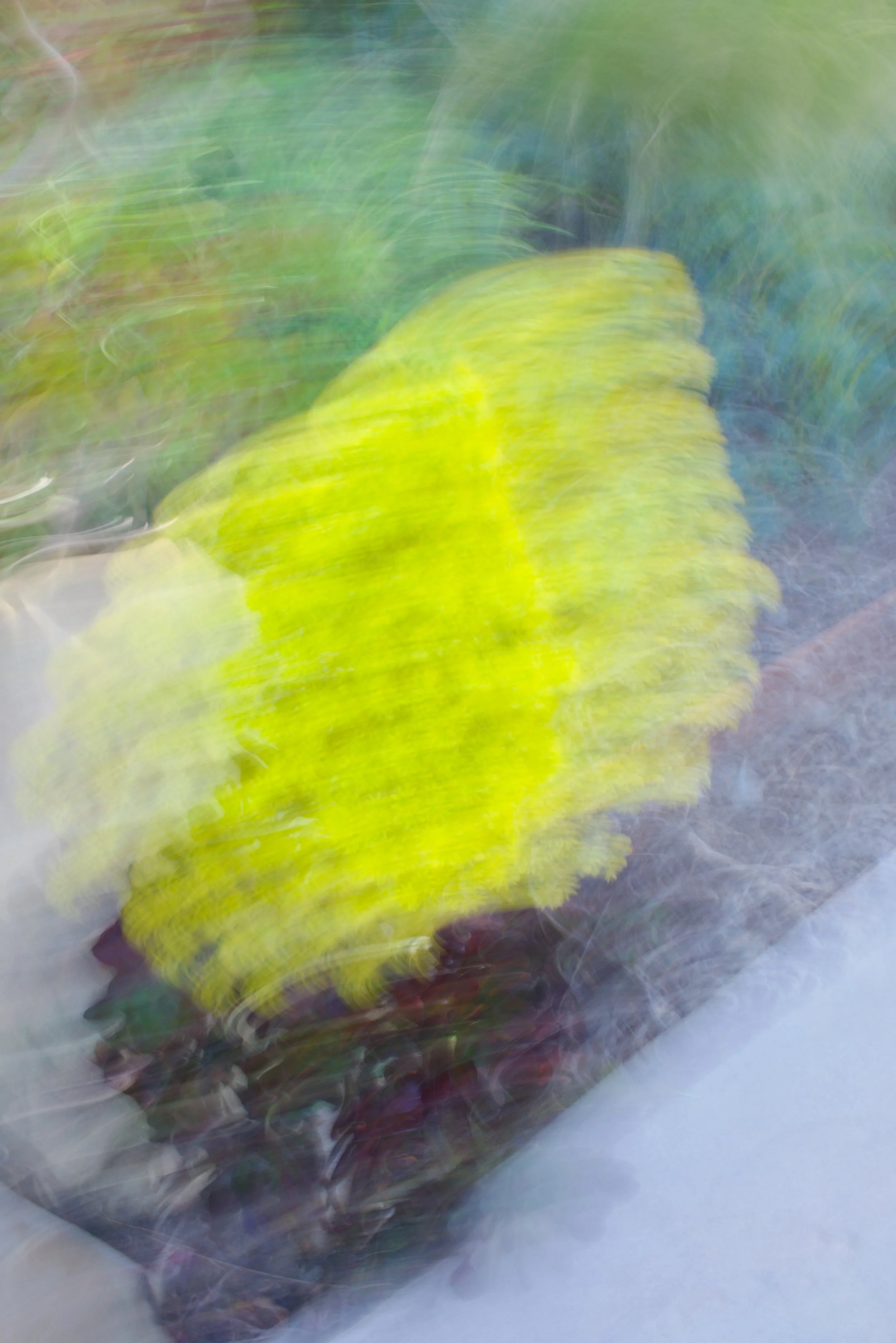  Movement 2023:110 (2023) C-print on wood panel, 60”x40” 