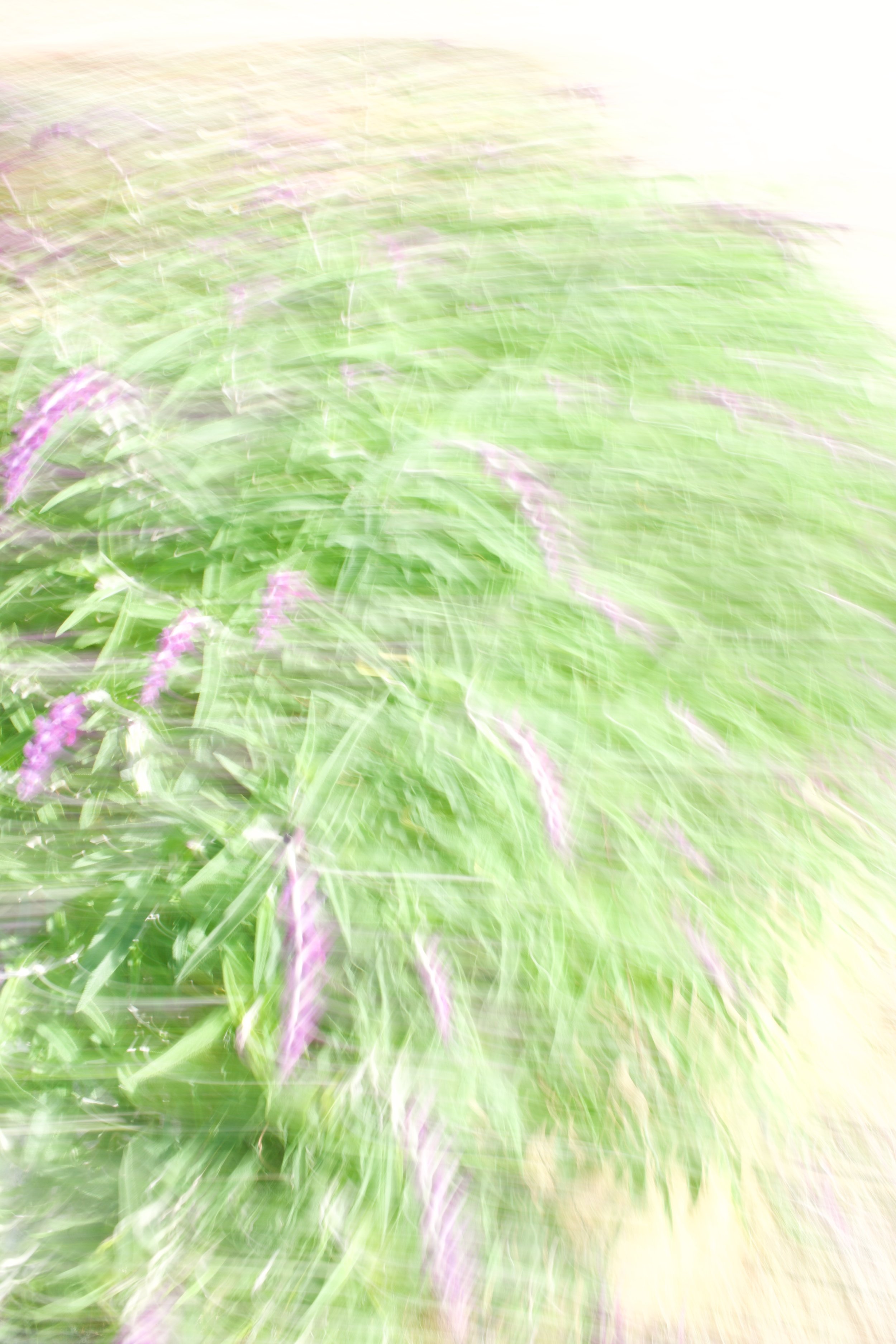  Movement 2023:112 (2023) C-print on wood panel, 60”x40” 