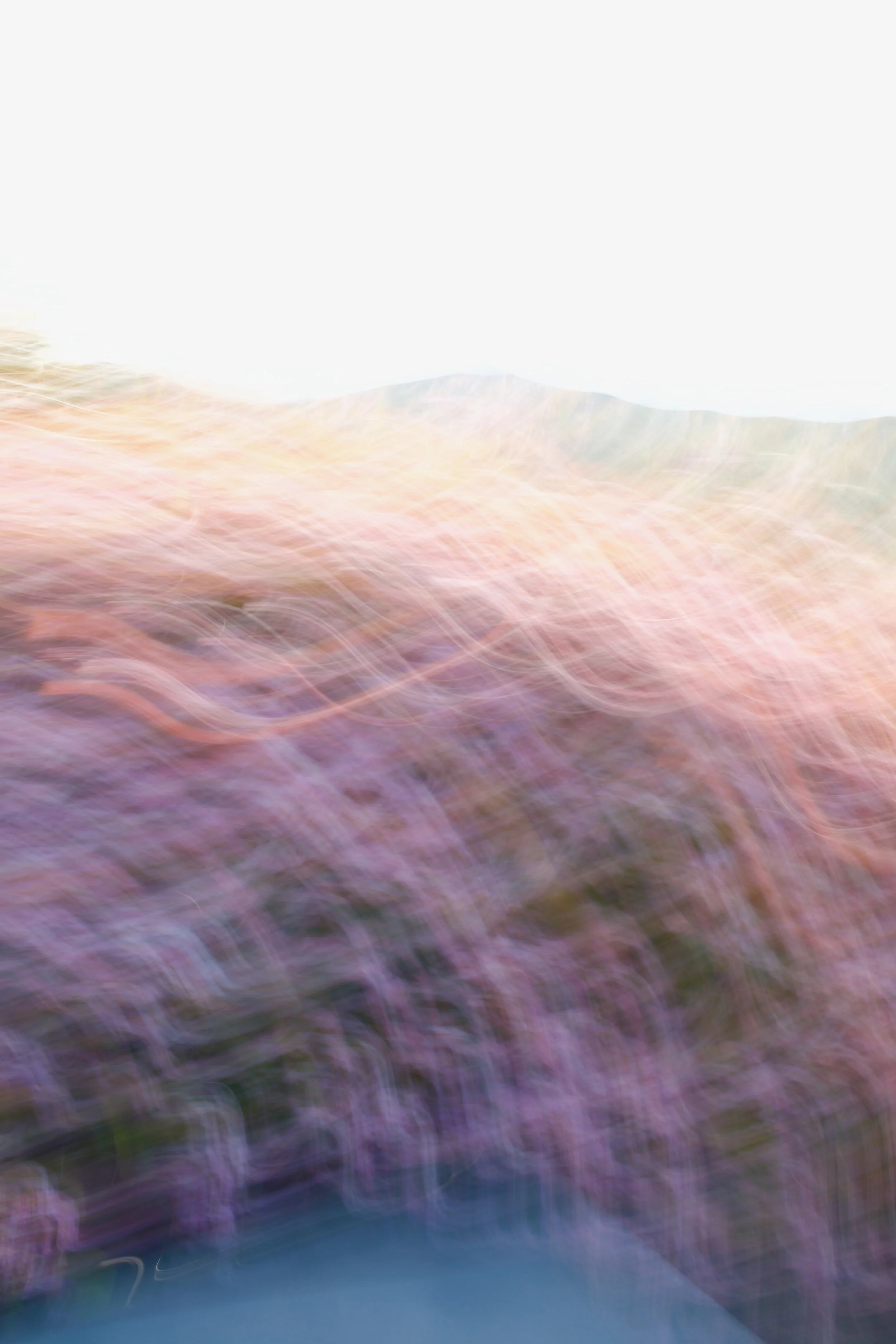  Movement 2023:113 (2023) C-print on wood panel, 60”x40” 