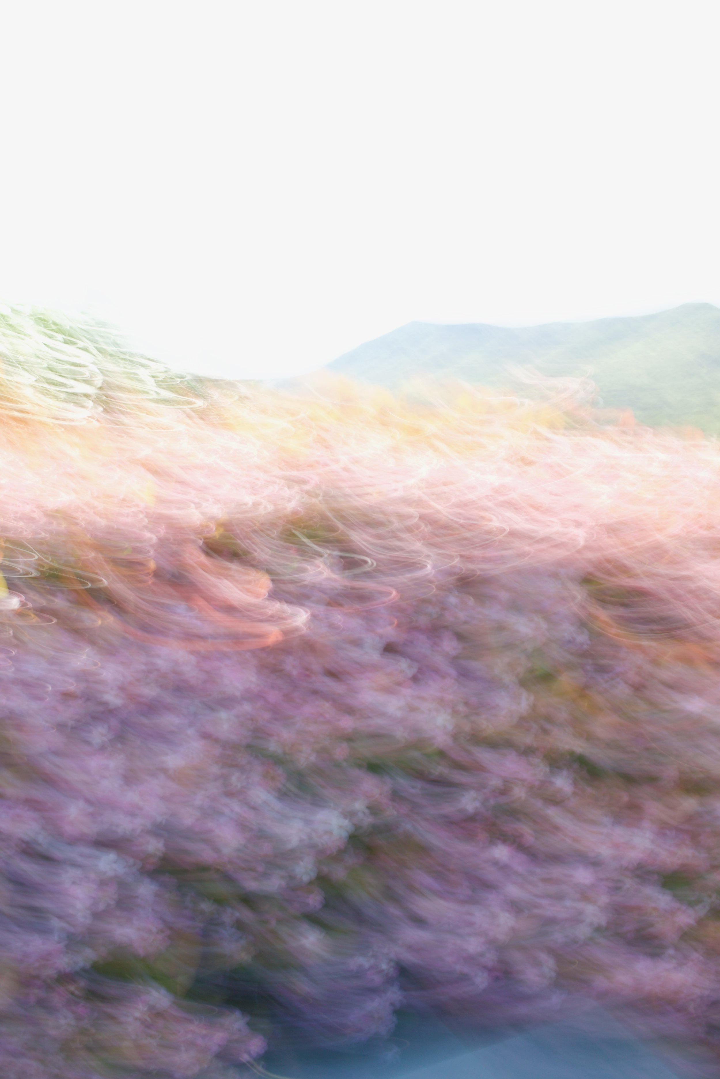  Movement 2023:114 (2023) C-print on wood panel, 60”x40” 