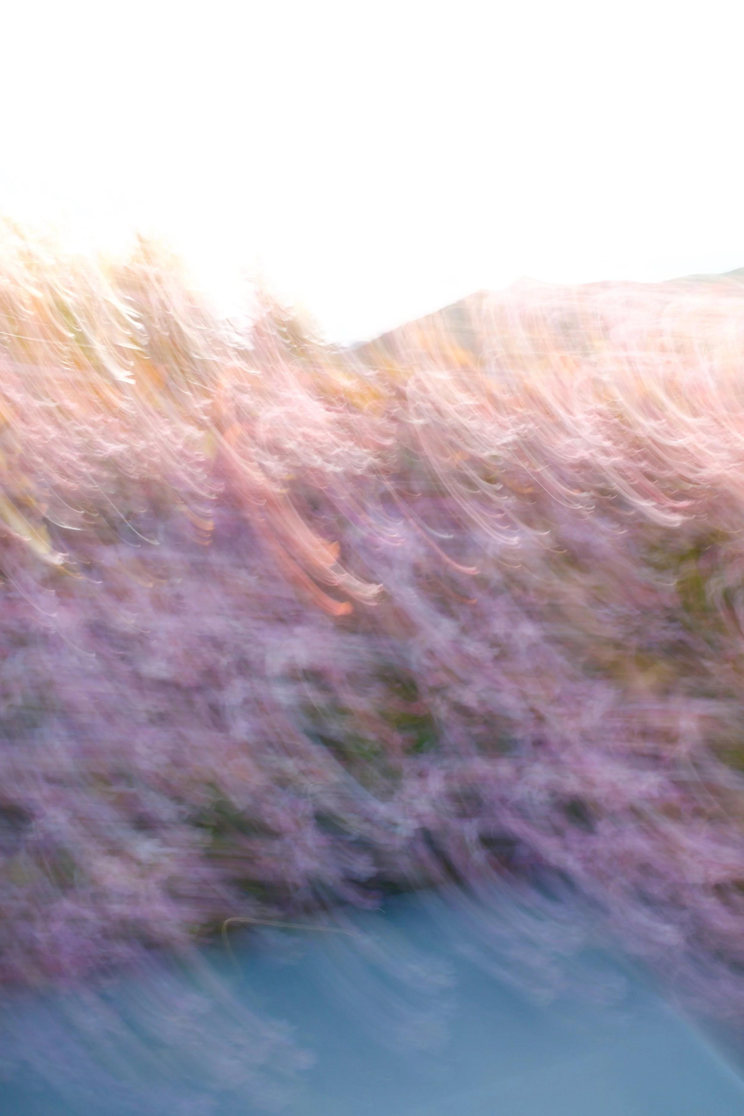  Movement 2023:115 (2023) C-print on wood panel, 60”x40” 