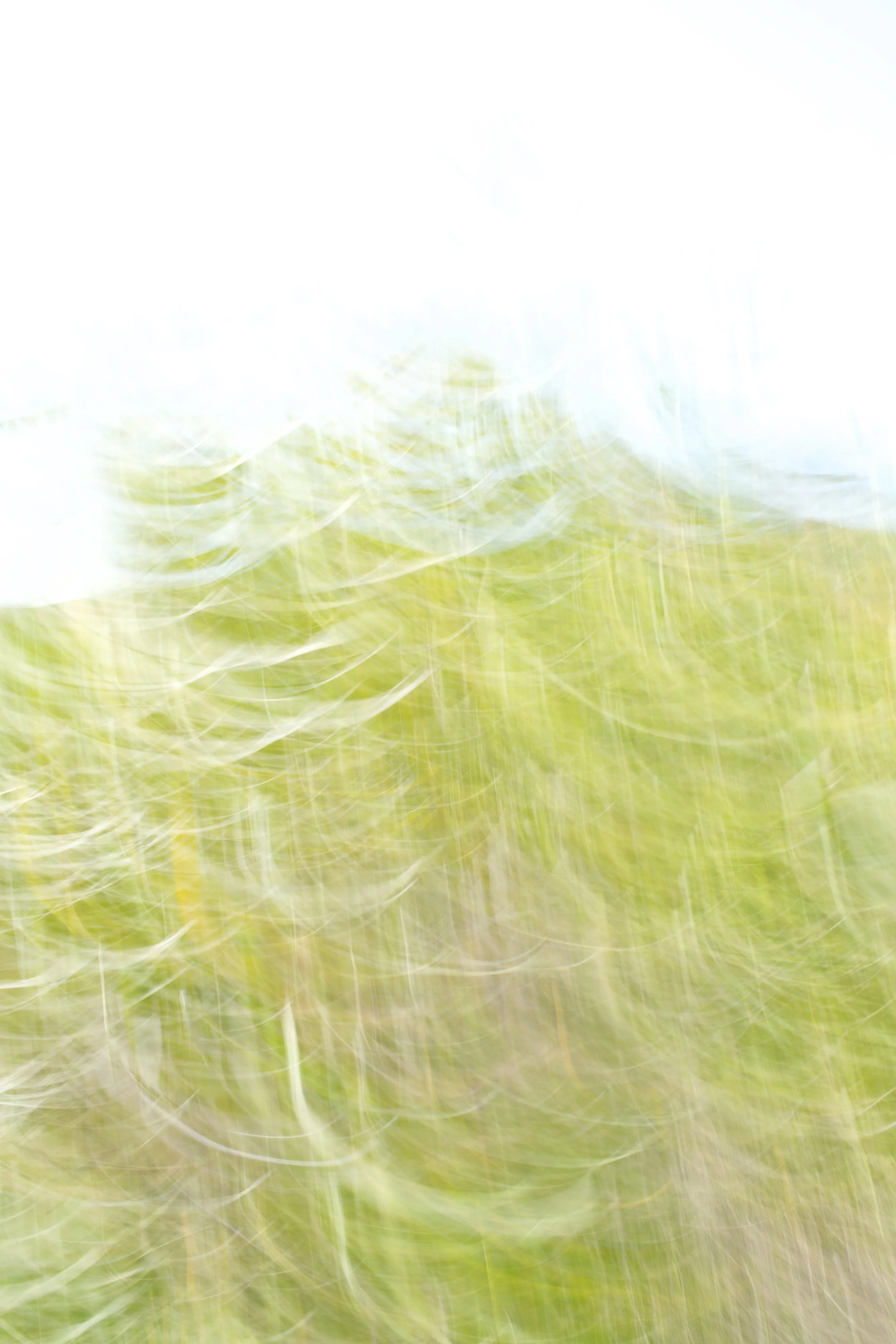  Movement 2023:116 (2023) C-print on wood panel, 60”x40” 