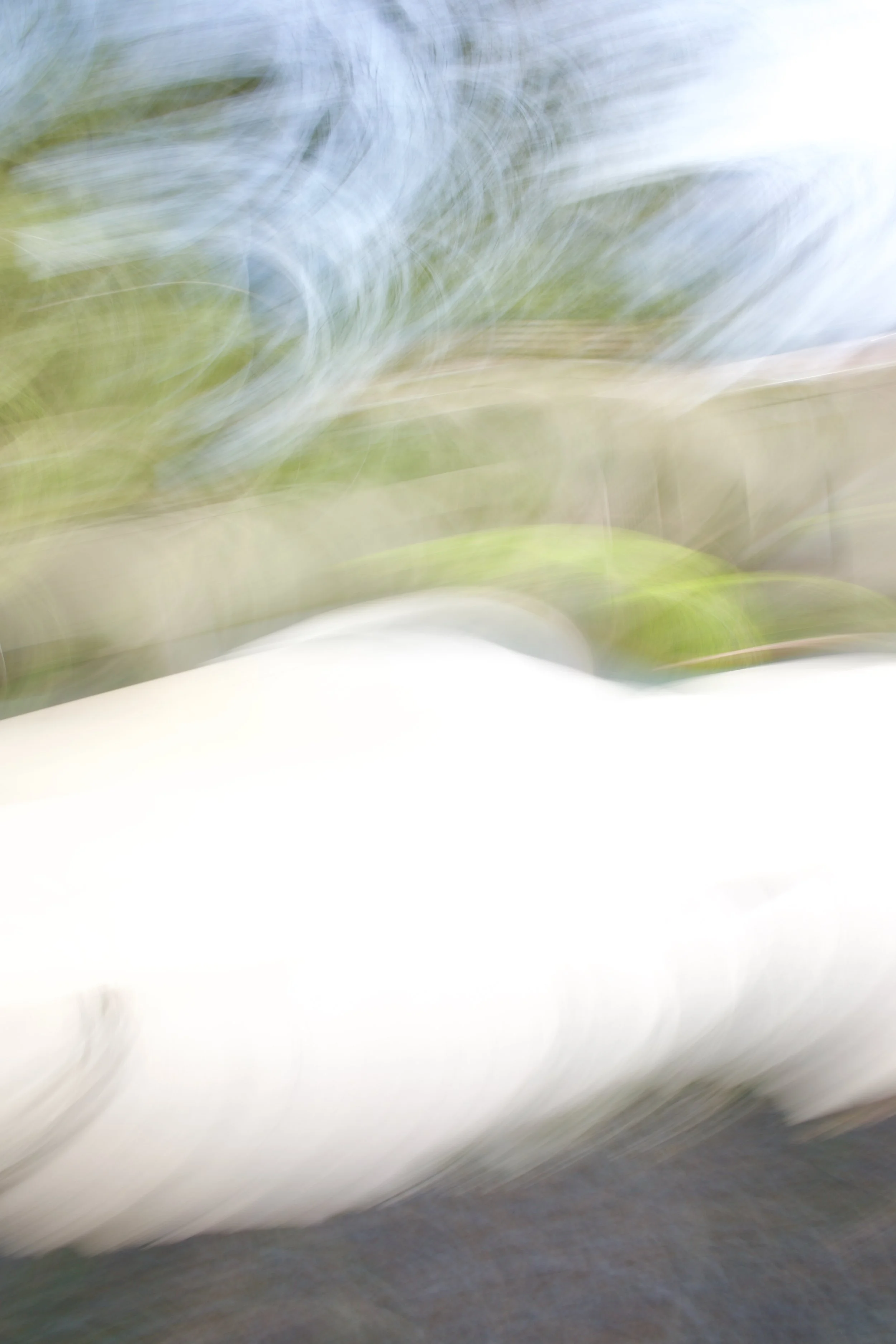  Movement 2023:117 (2023) C-print on wood panel, 60”x40” 