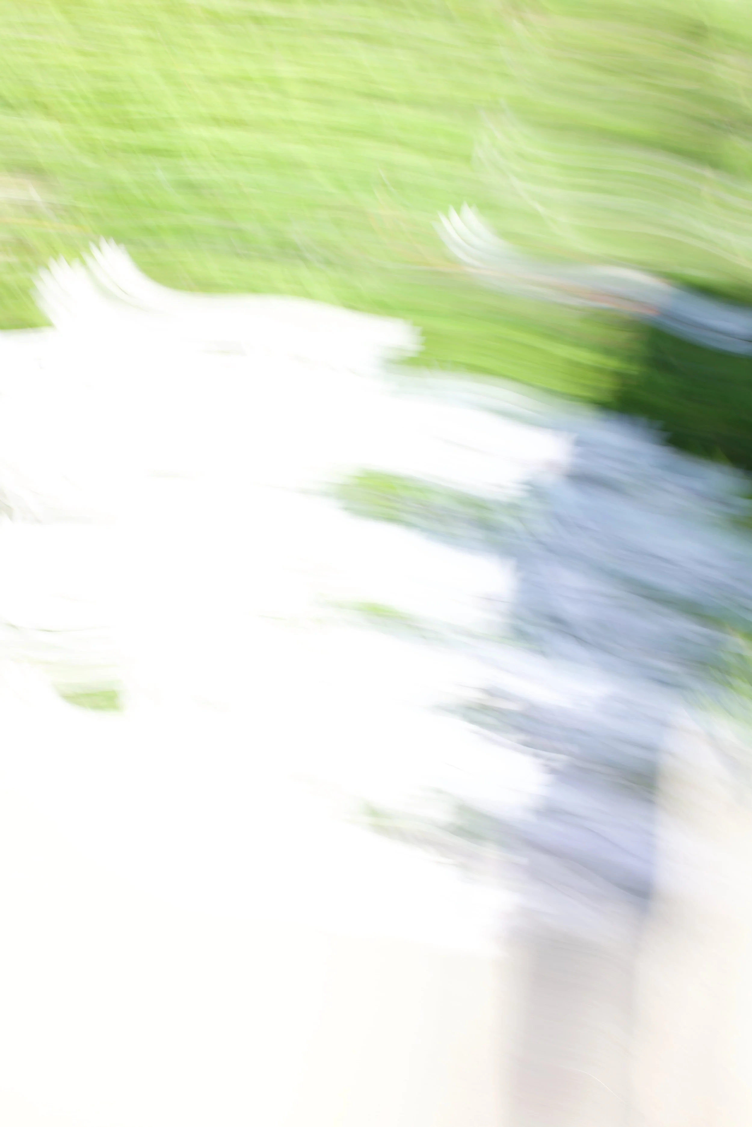  Movement 2023:123 (2023) C-print on wood panel, 60”x40” 