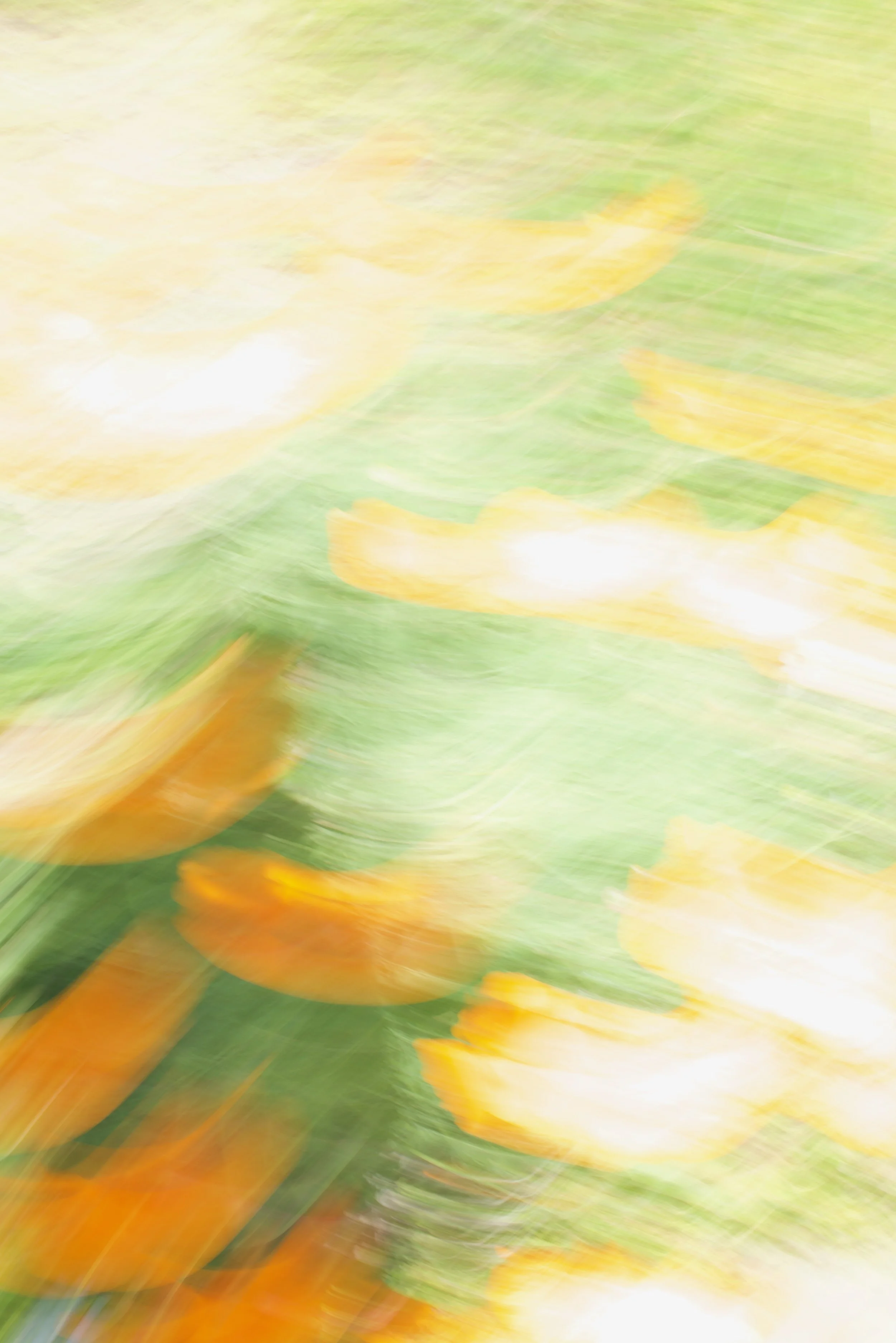  Movement 2023:124 (2023) C-print on wood panel, 60”x40” 