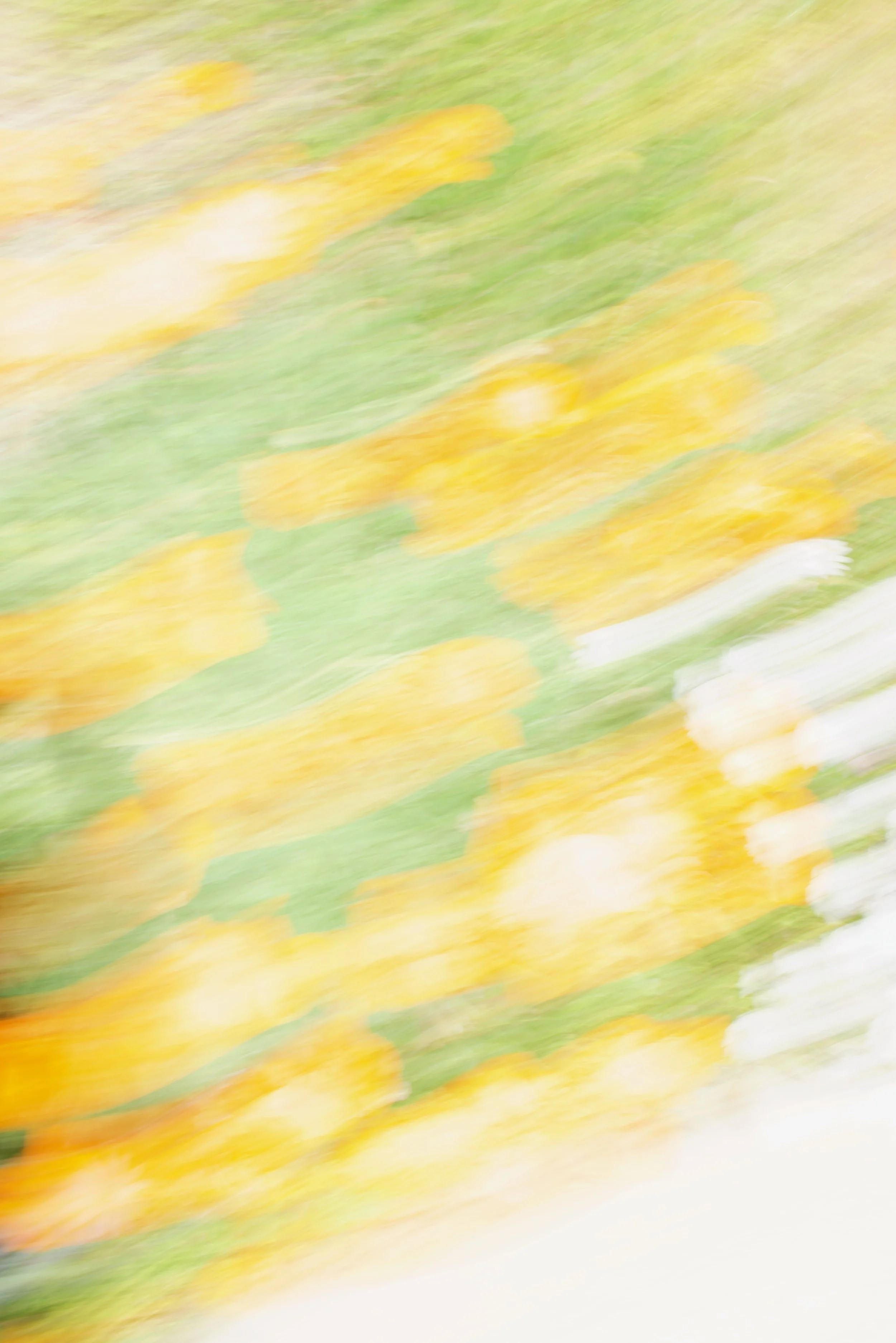  Movement 2023:125 (2023) C-print on wood panel, 60”x40” 