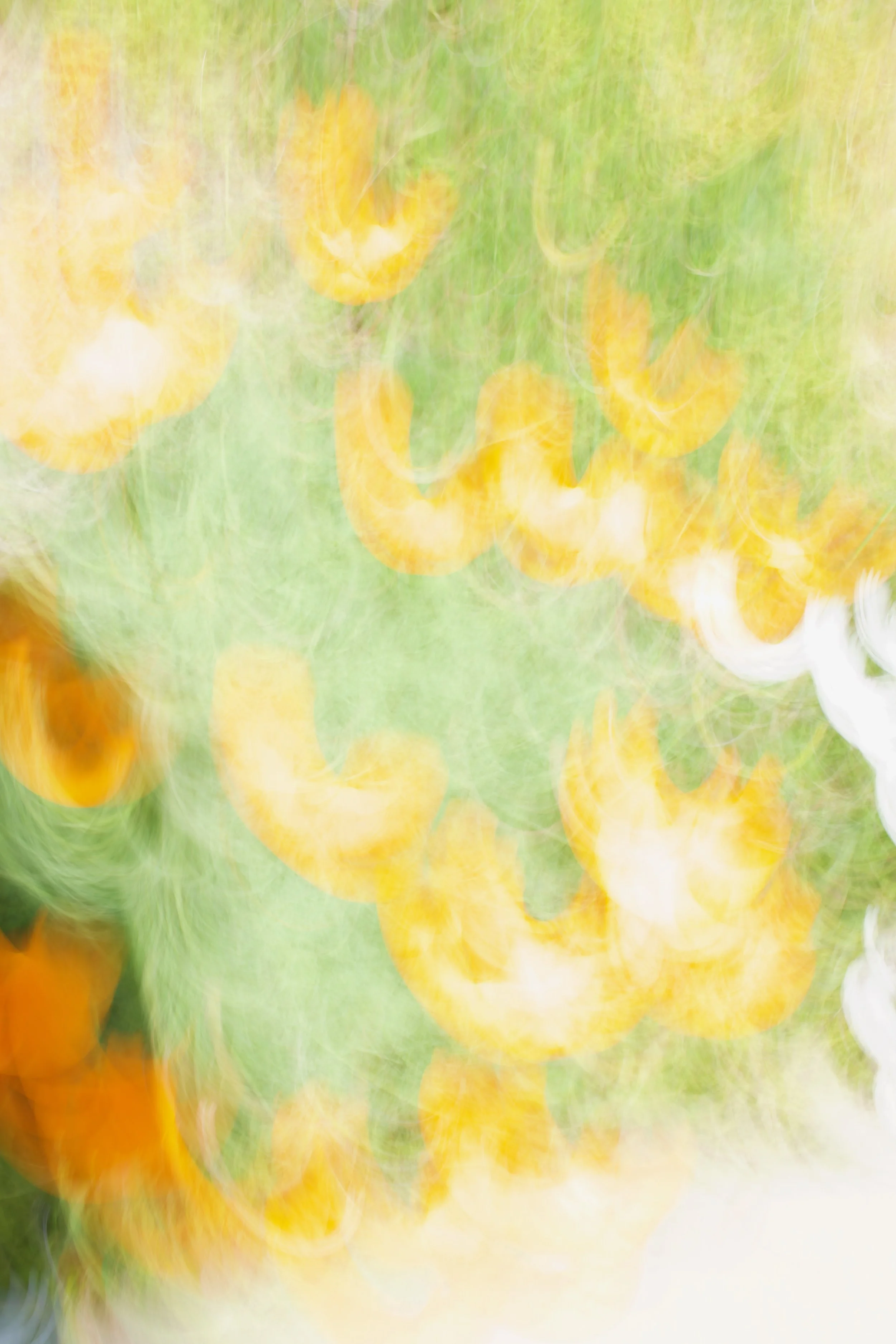  Movement 2023:126 (2023) C-print on wood panel, 60”x40” 