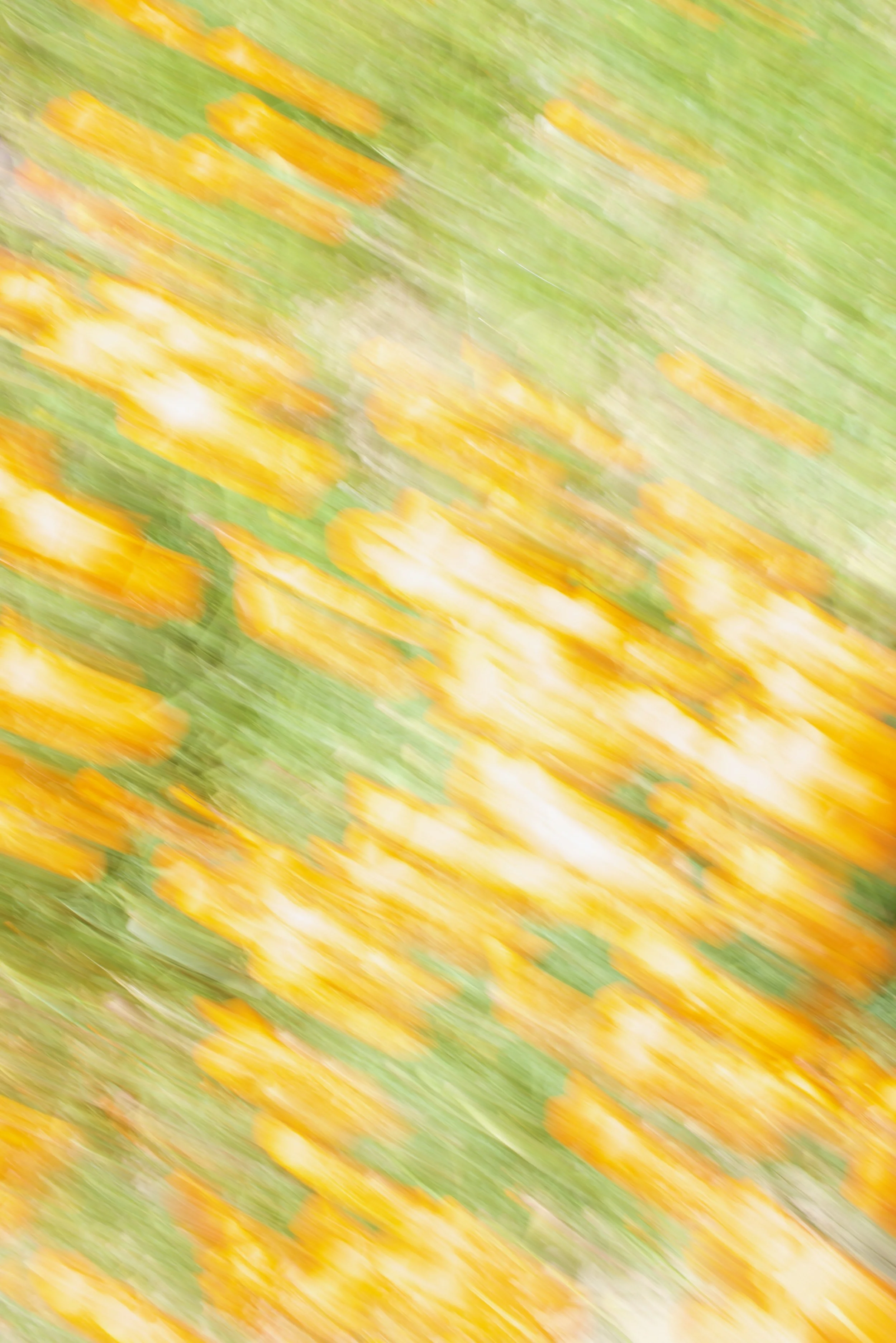  Movement 2023:127 (2023) C-print on wood panel, 60”x40” 