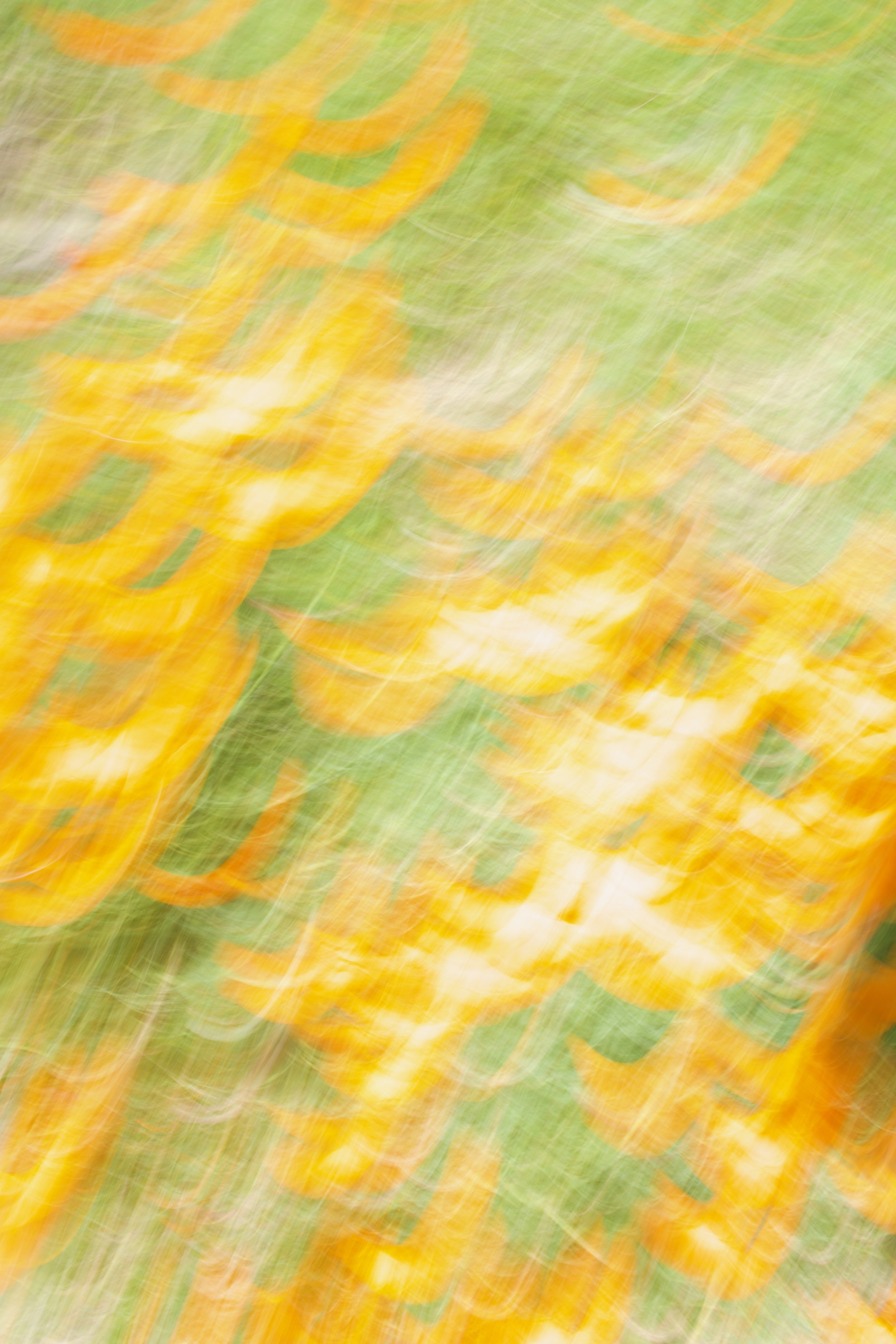  Movement 2023:128 (2023) C-print on wood panel, 60”x40” 