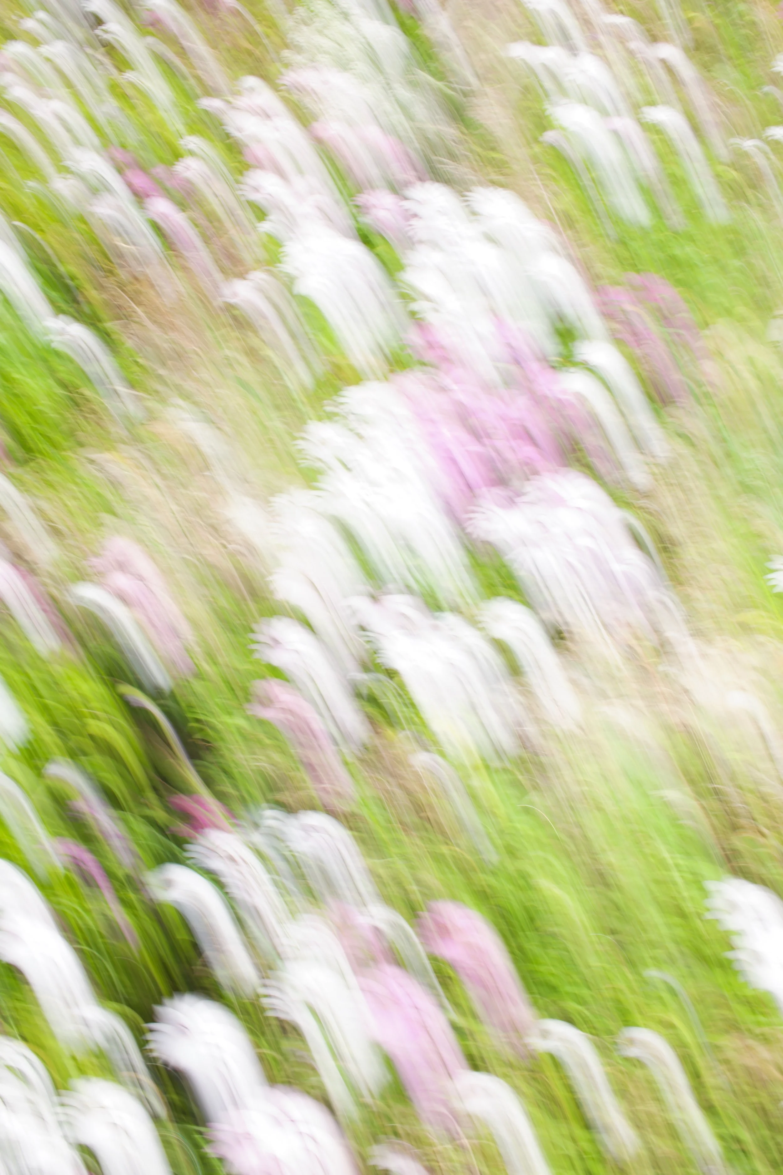  Movement 2023:129 (2023) C-print on wood panel, 60”x40” 