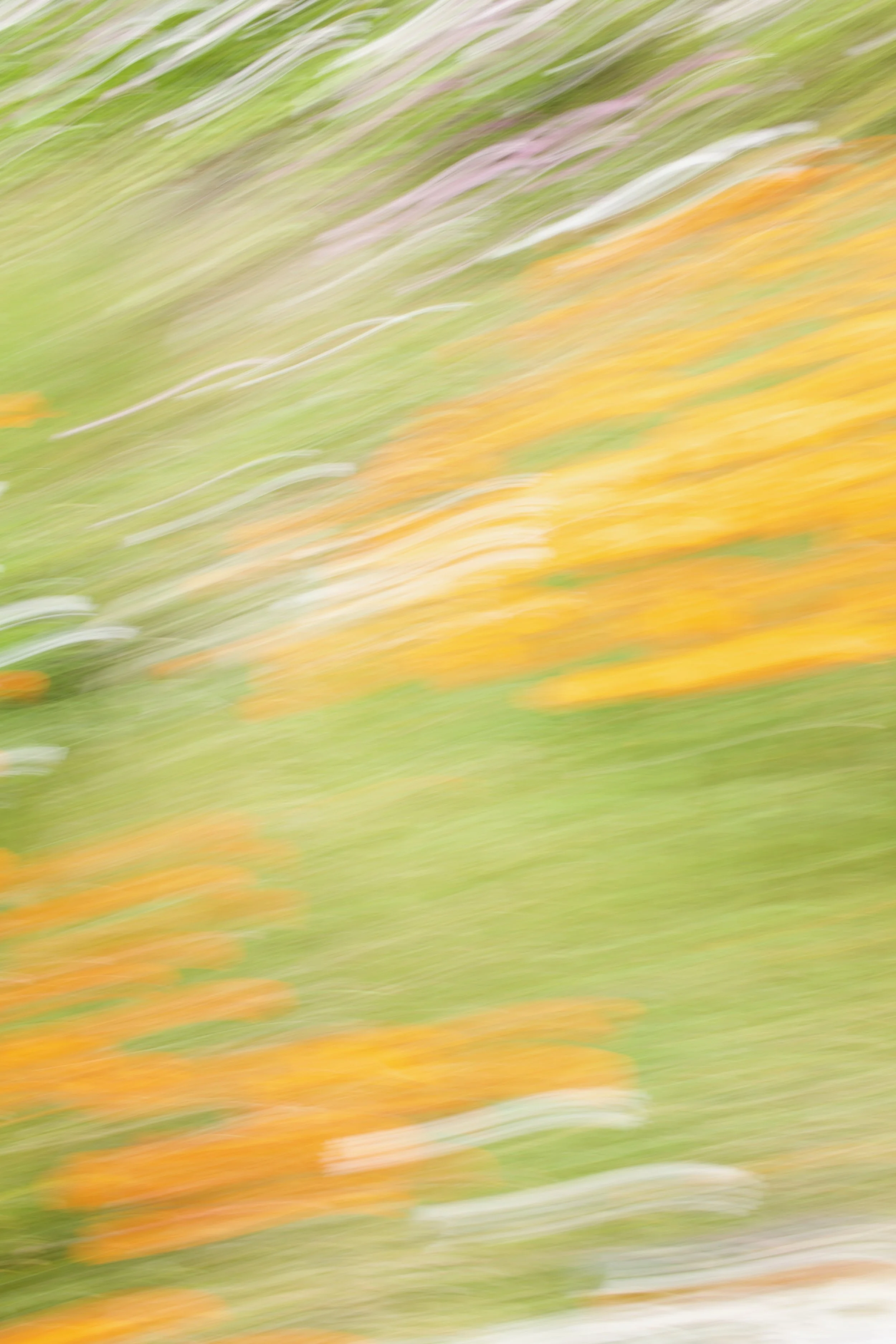  Movement 2023:130 (2023) C-print on wood panel, 60”x40” 