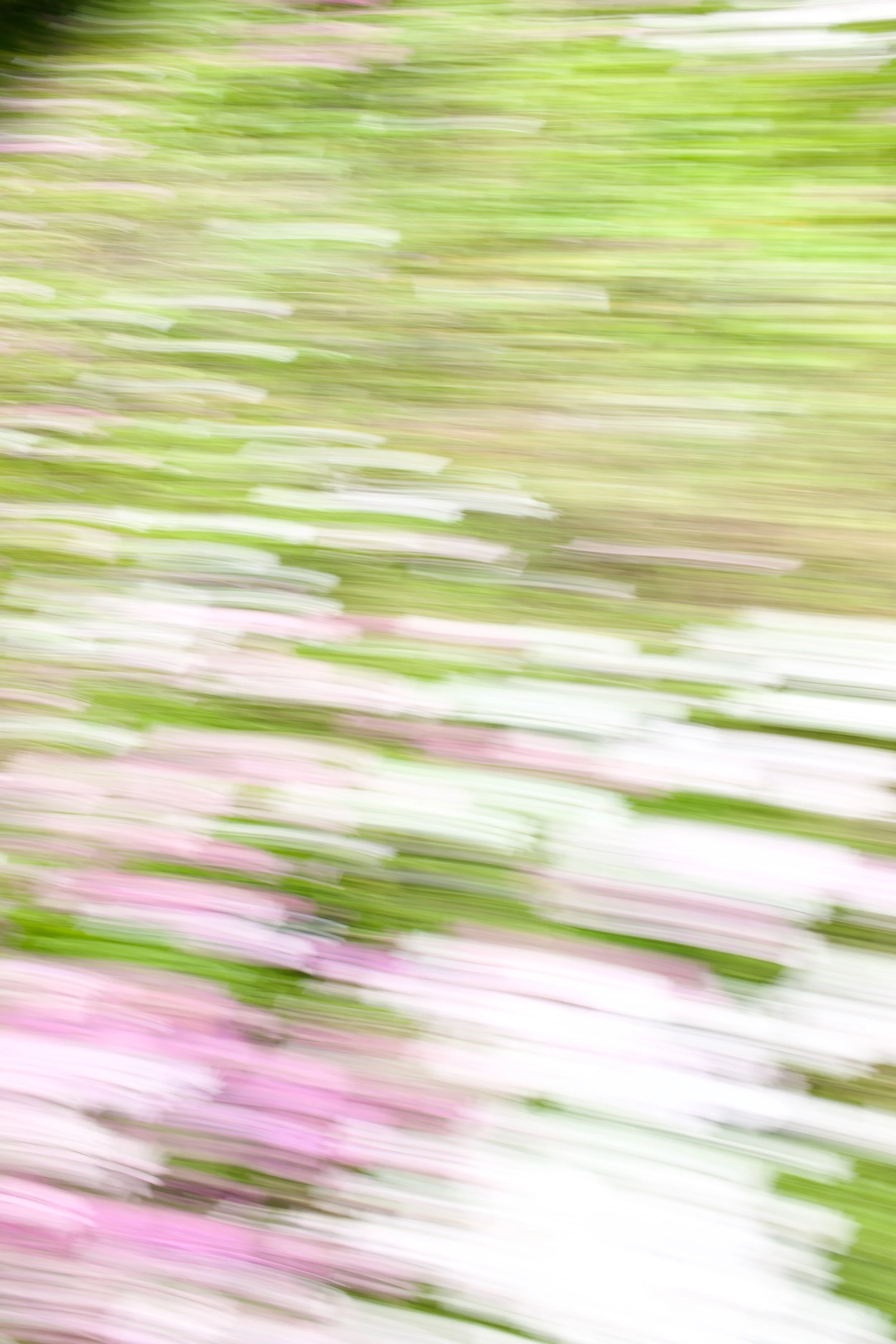  Movement 2023:131 (2023) C-print on wood panel, 60”x40” 