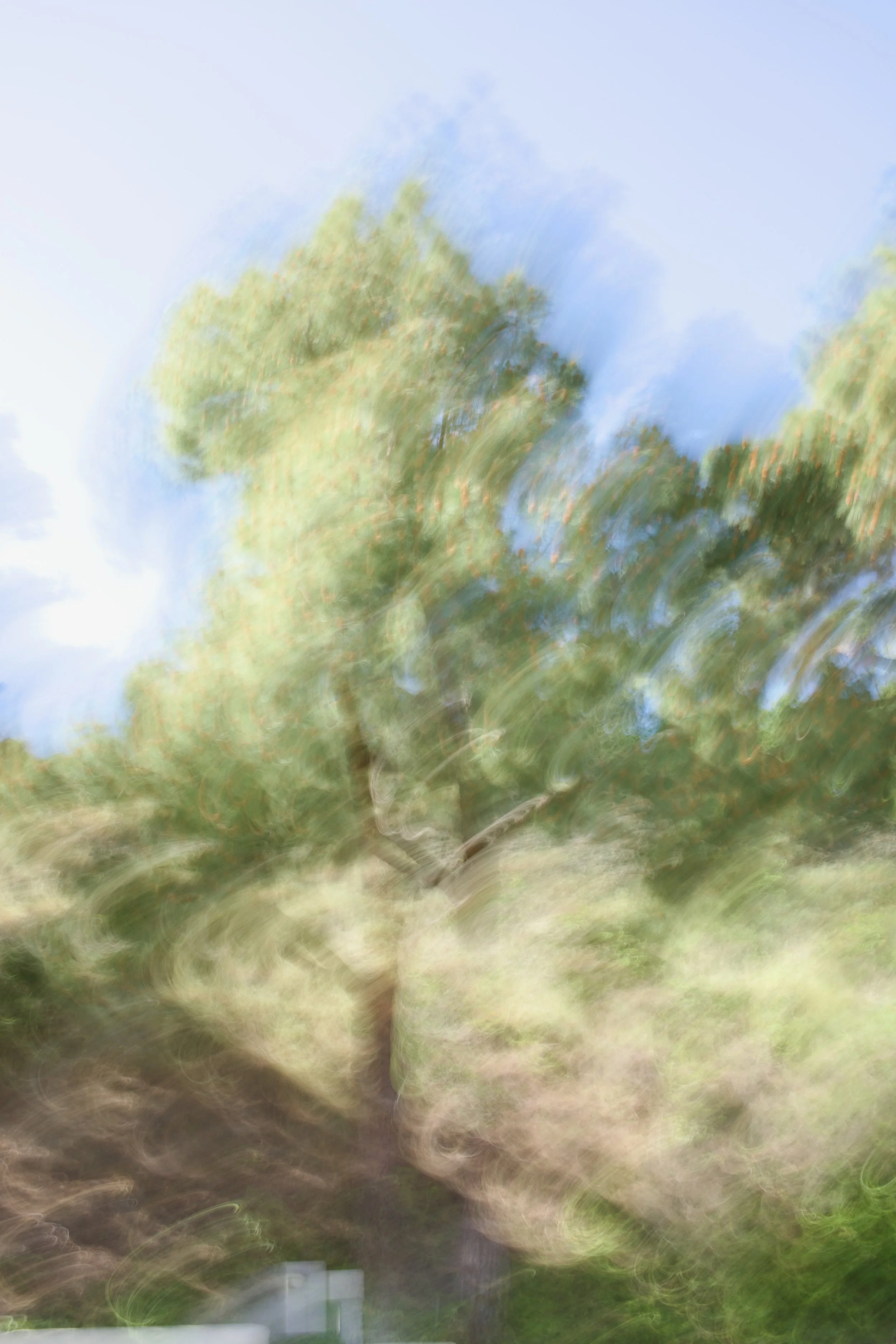  Movement 2023:133 (2023) C-print on wood panel, 60”x40” 