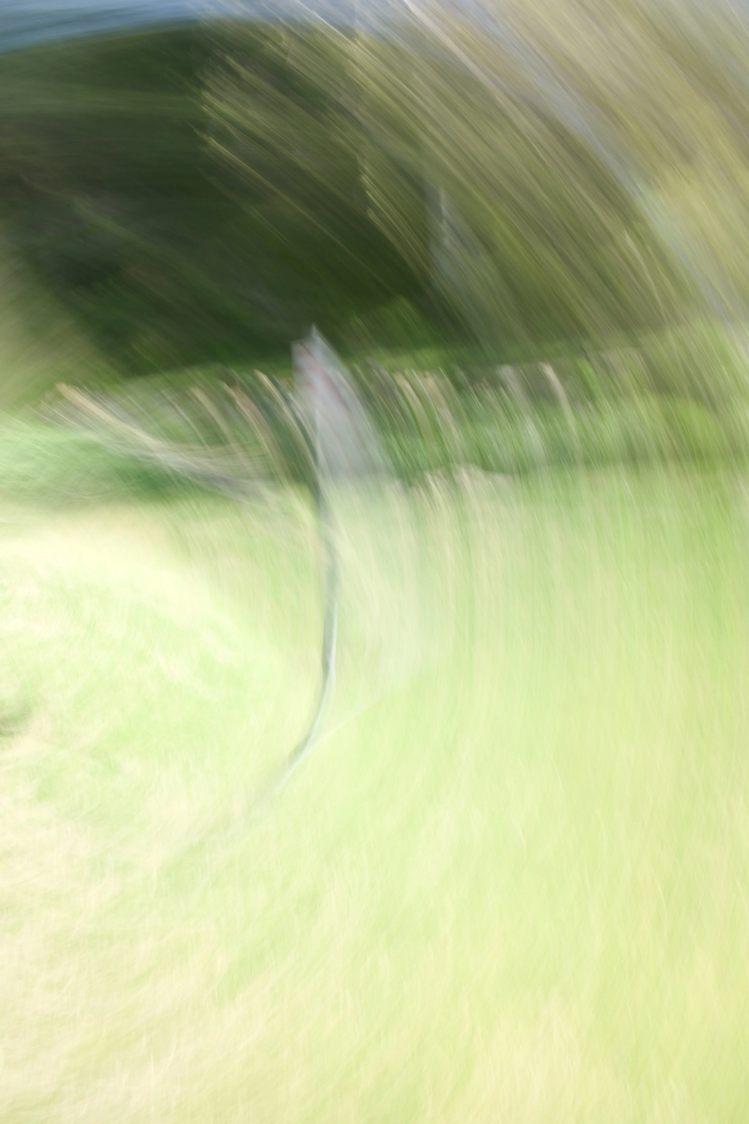  Movement 2023:135 (2023) C-print on wood panel, 60”x40” 