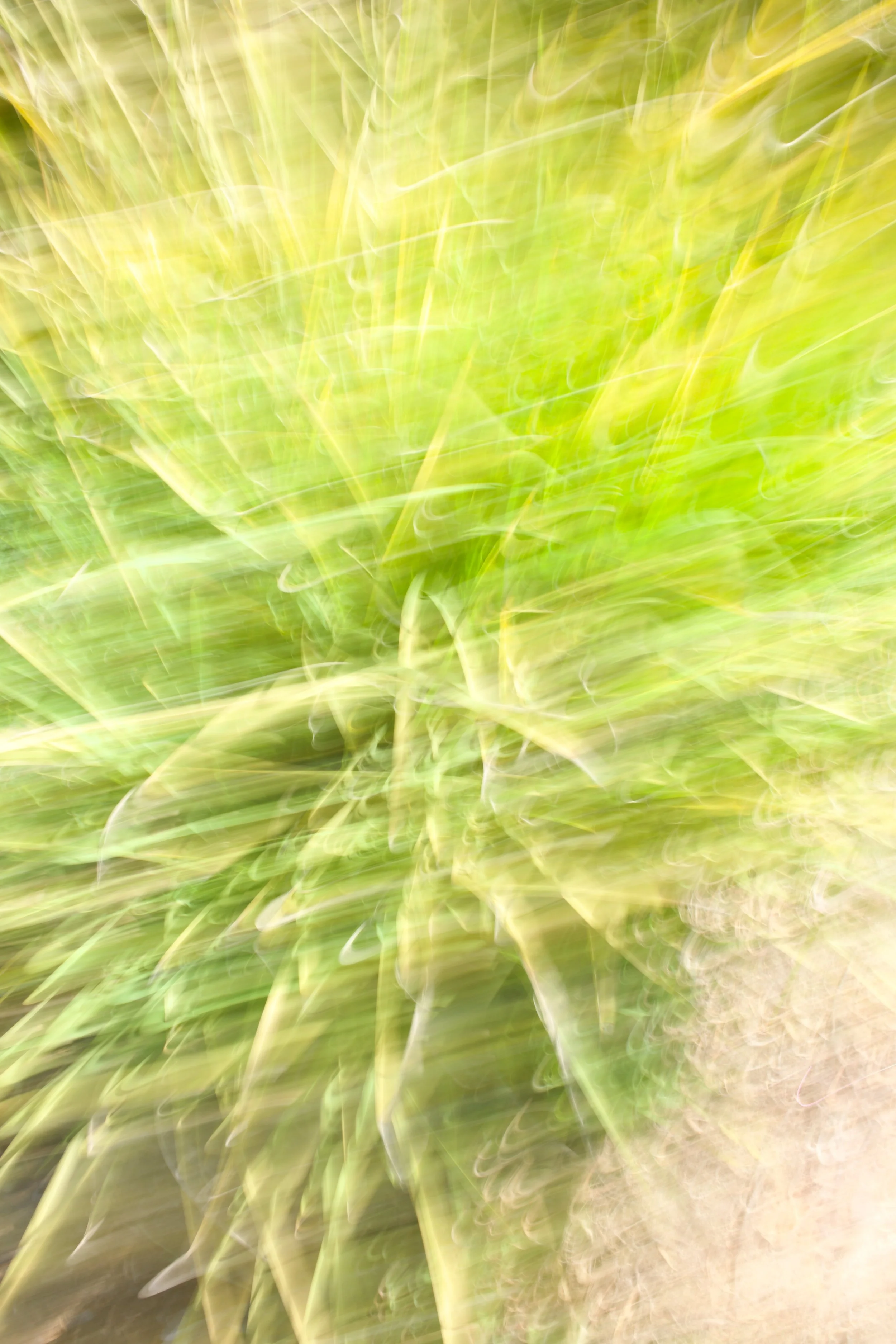  Movement 2023:137 (2023) C-print on wood panel, 60”x40” 