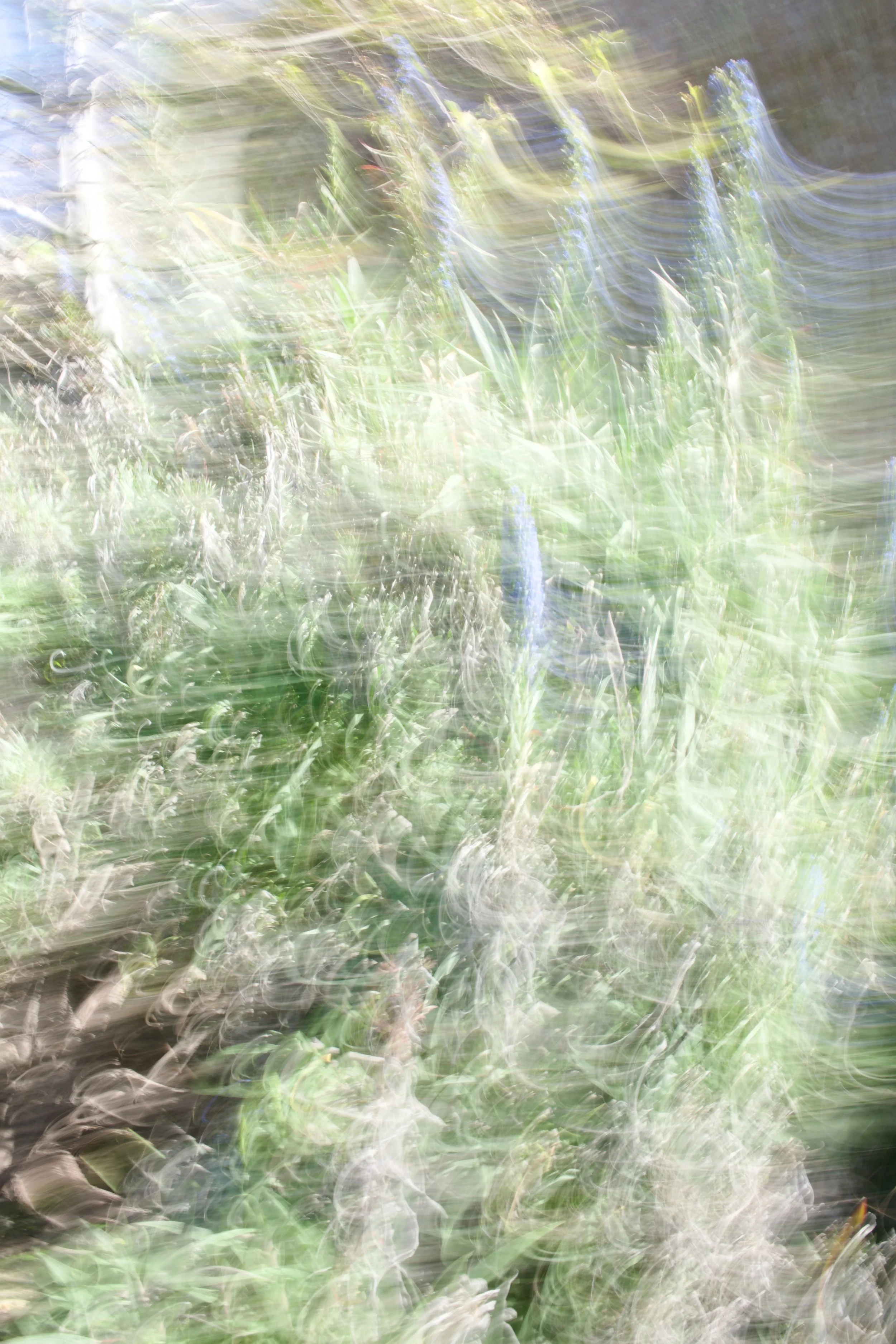  Movement 2023:138 (2023) C-print on wood panel, 60”x40” 