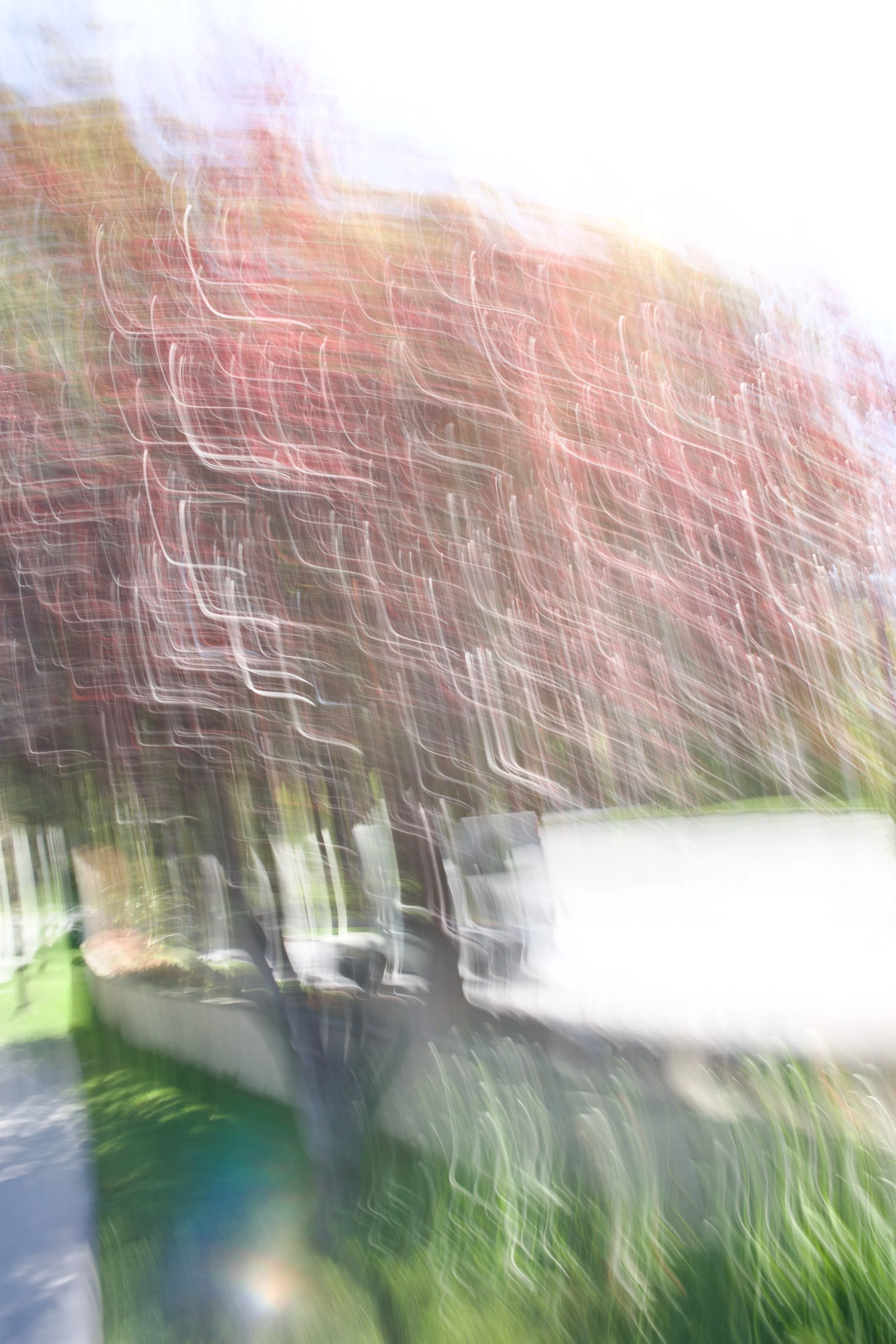  Movement 2023:143(2023) C-print on wood panel, 60”x40” 