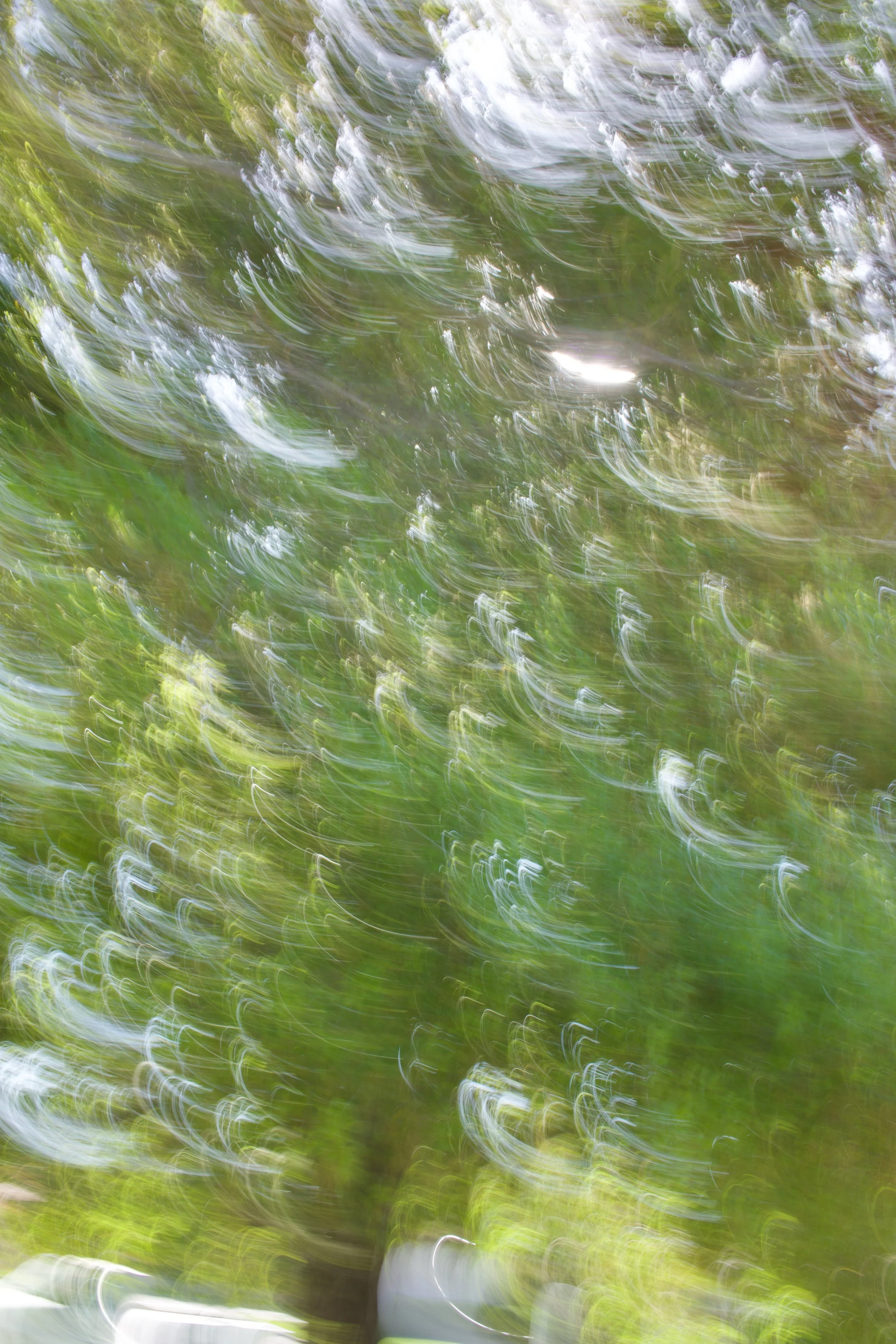  Movement 2023:146(2023) C-print on wood panel, 60”x40” 