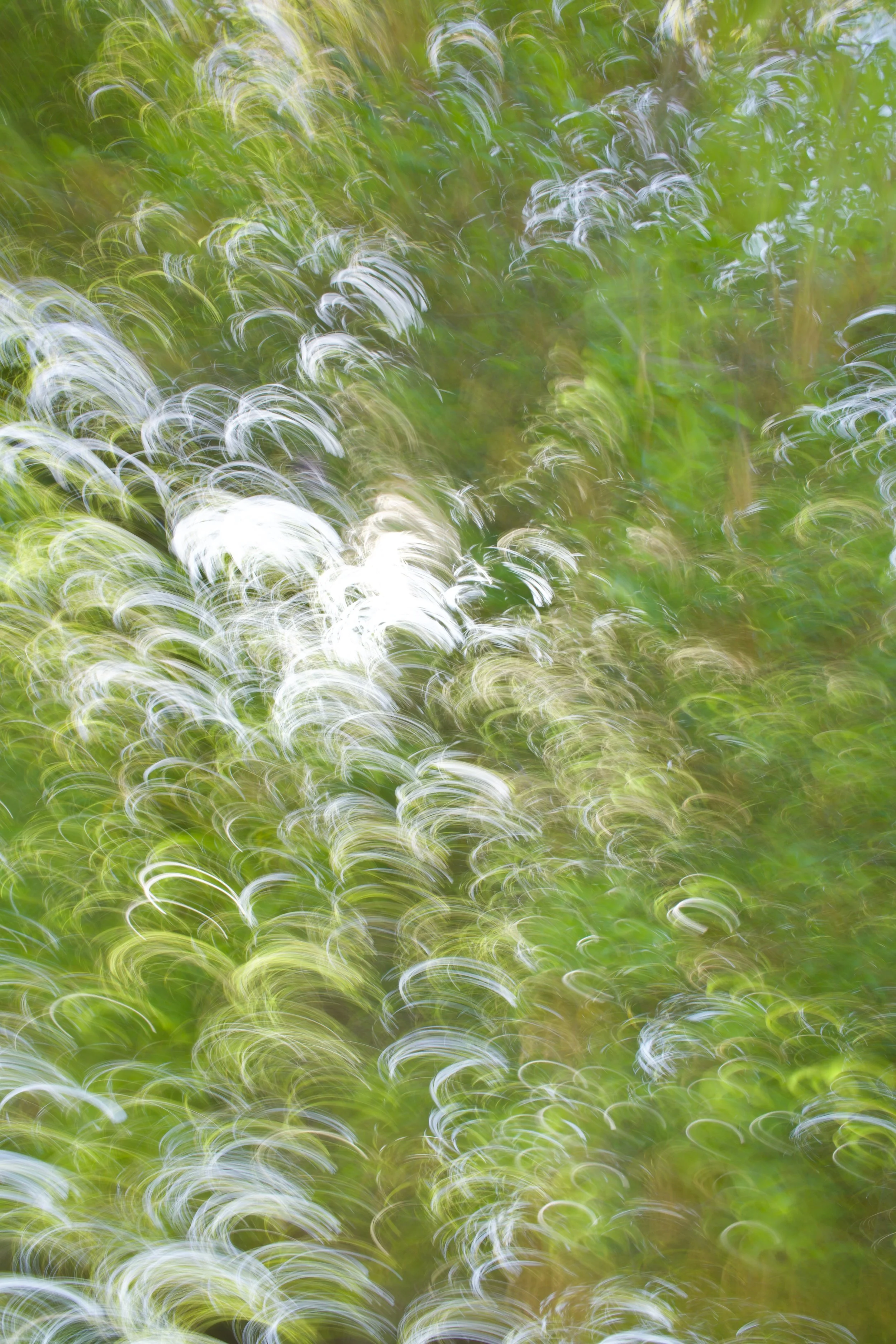  Movement 2023:147 (2023) C-print on wood panel, 60”x40” 