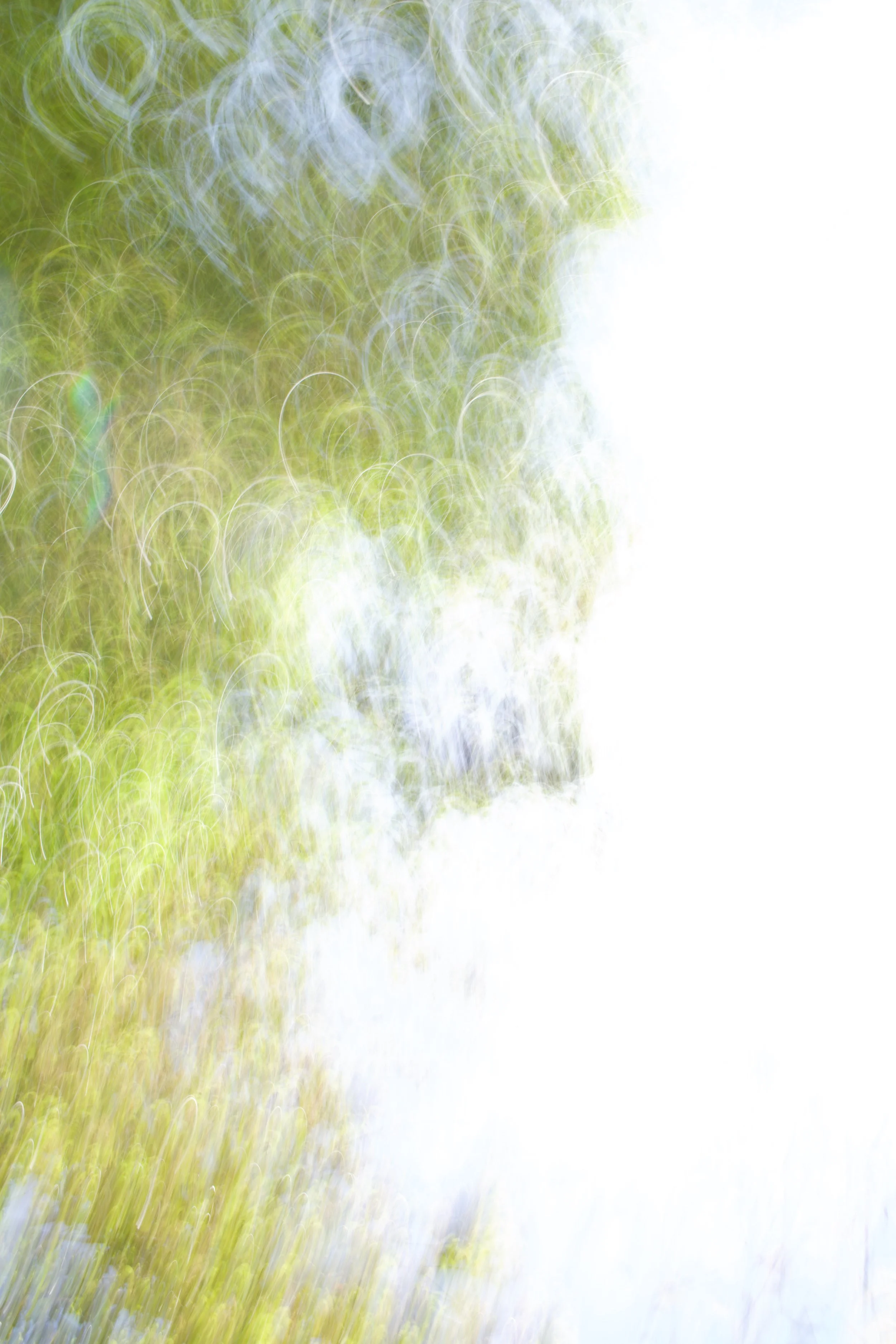  Movement 2023:149 (2023) C-print on wood panel, 60”x40” 