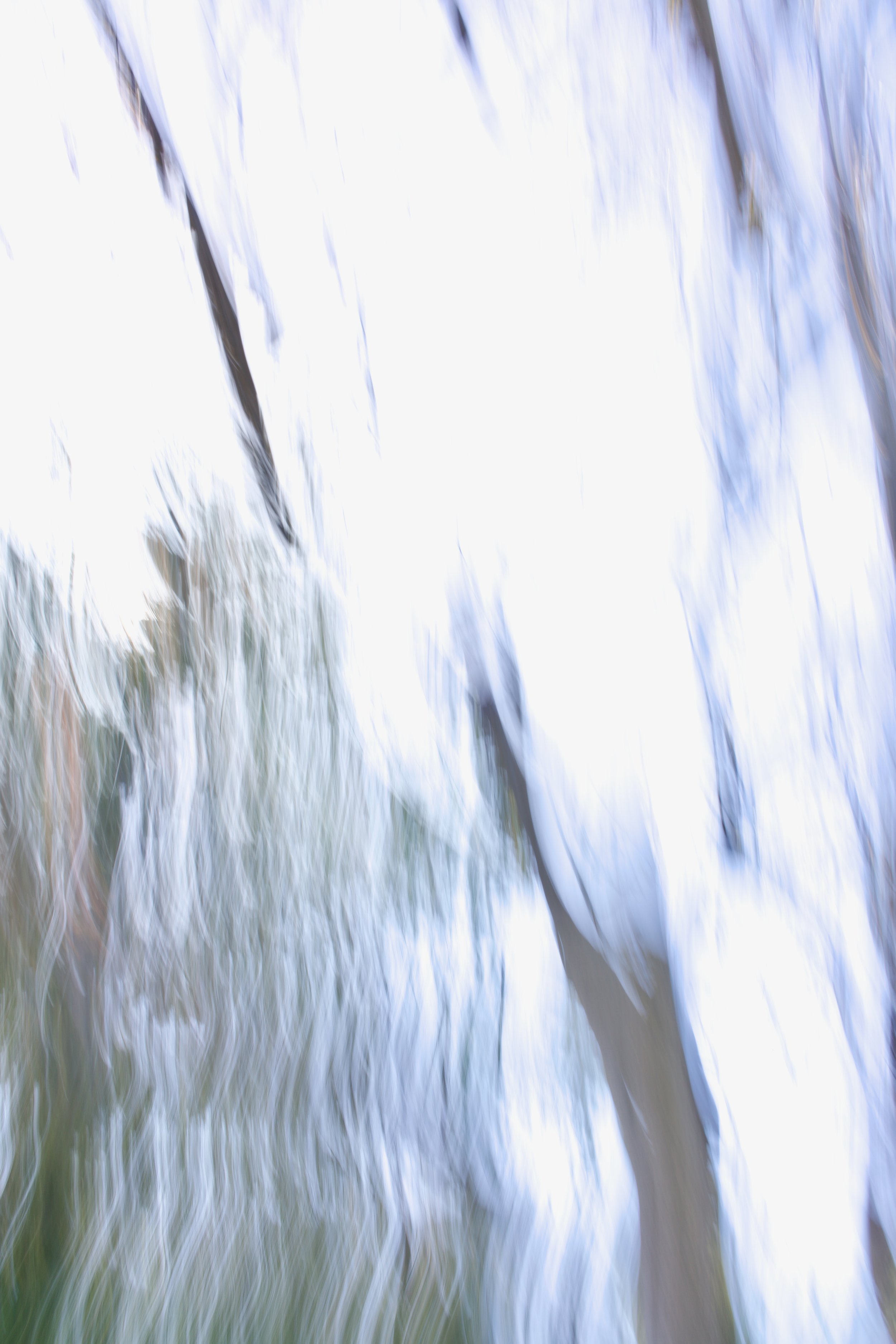  Movement 2023:152 (2023) C-print on wood panel, 60”x40” 