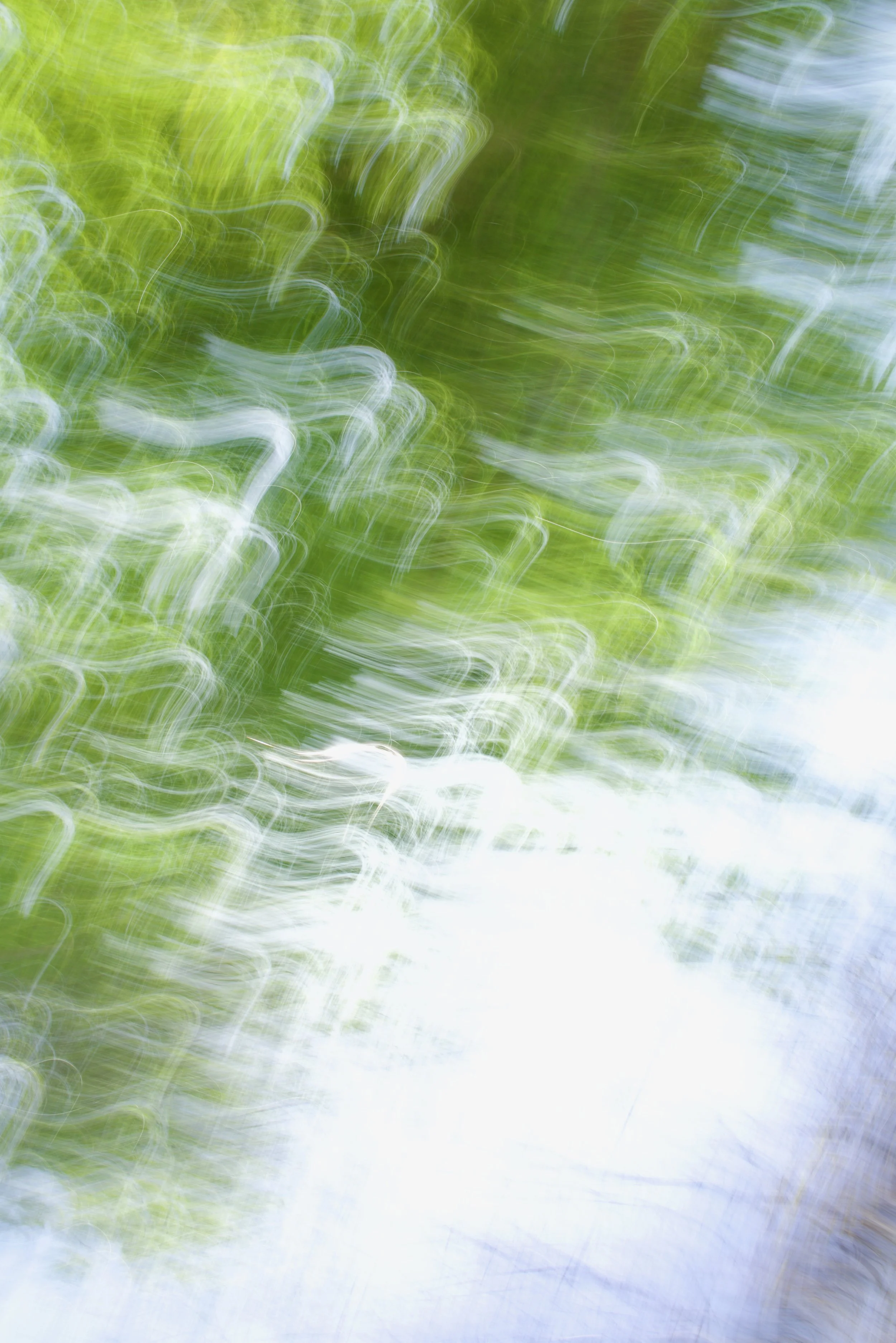  Movement 2023:153 (2023) C-print on wood panel, 60”x40” 