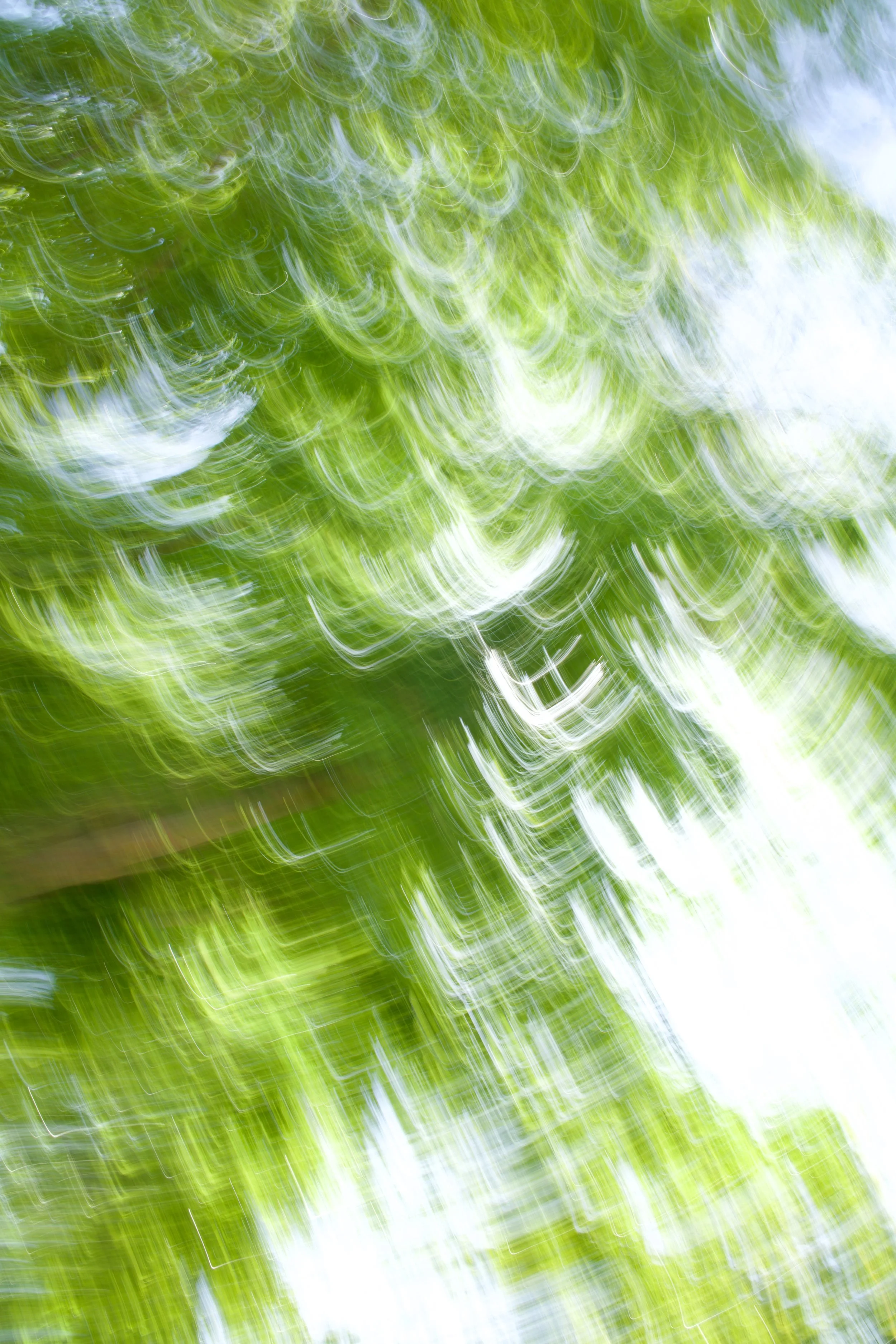  Movement 2023:155 (2023) C-print on wood panel, 60”x40” 