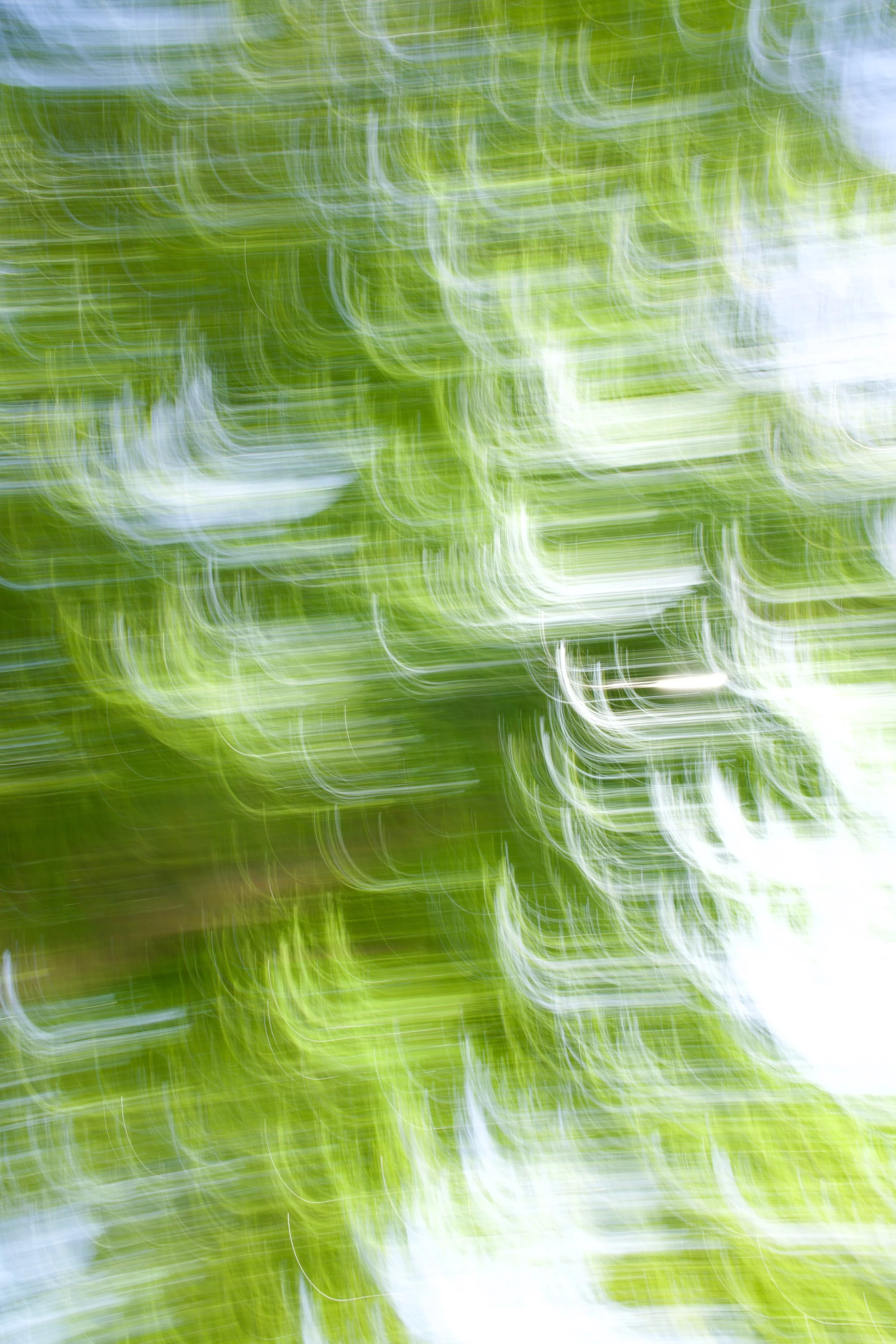  Movement 2023:156 (2023) C-print on wood panel, 60”x40” 