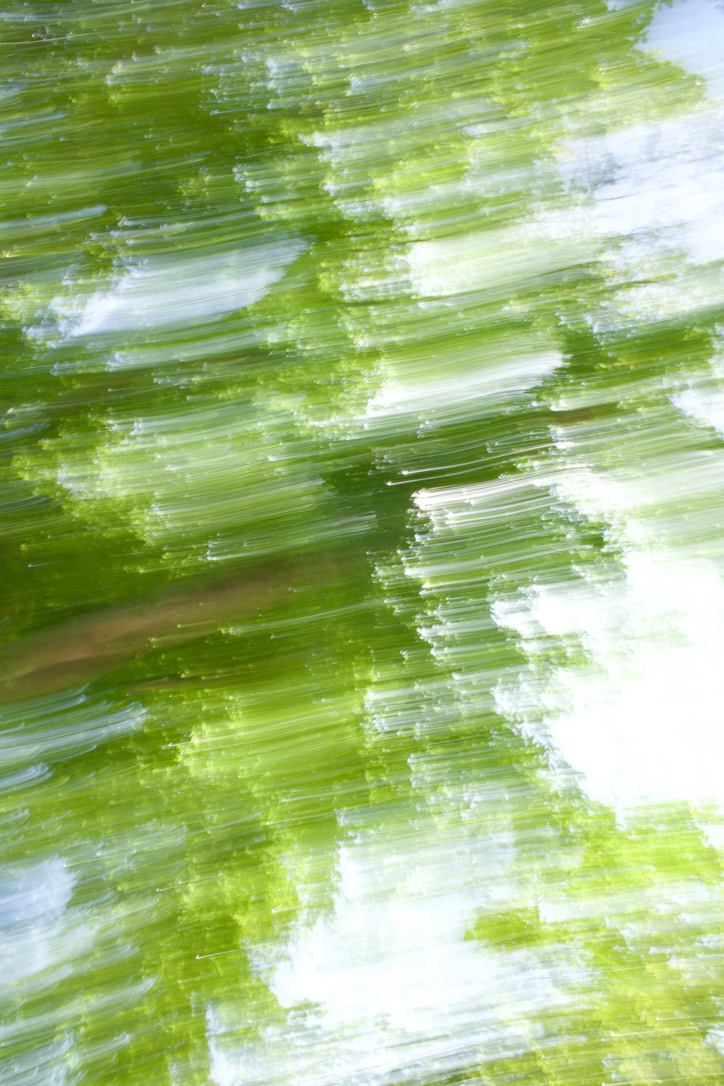  Movement 2023:158 (2023) C-print on wood panel, 60”x40” 