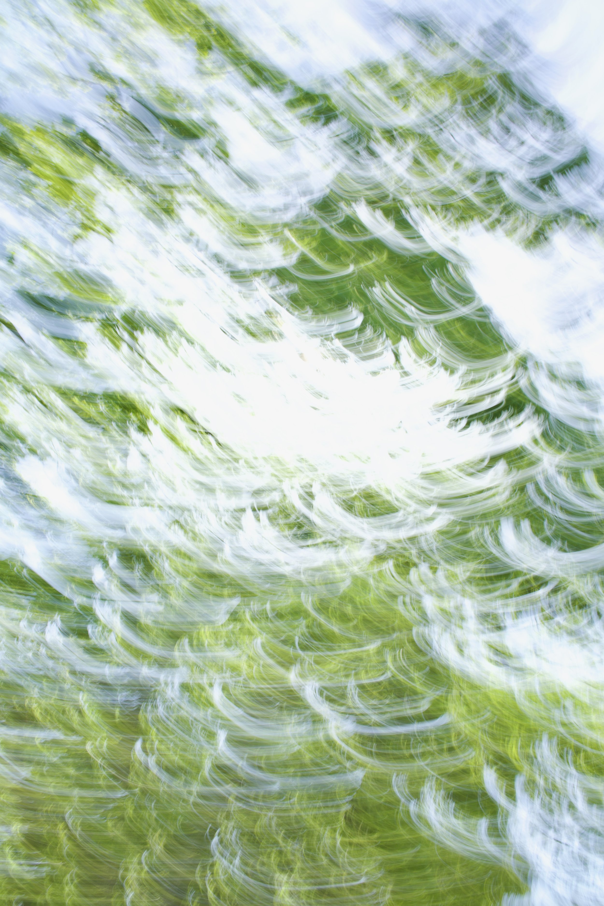  Movement 2023:159 (2023) C-print on wood panel, 60”x40” 