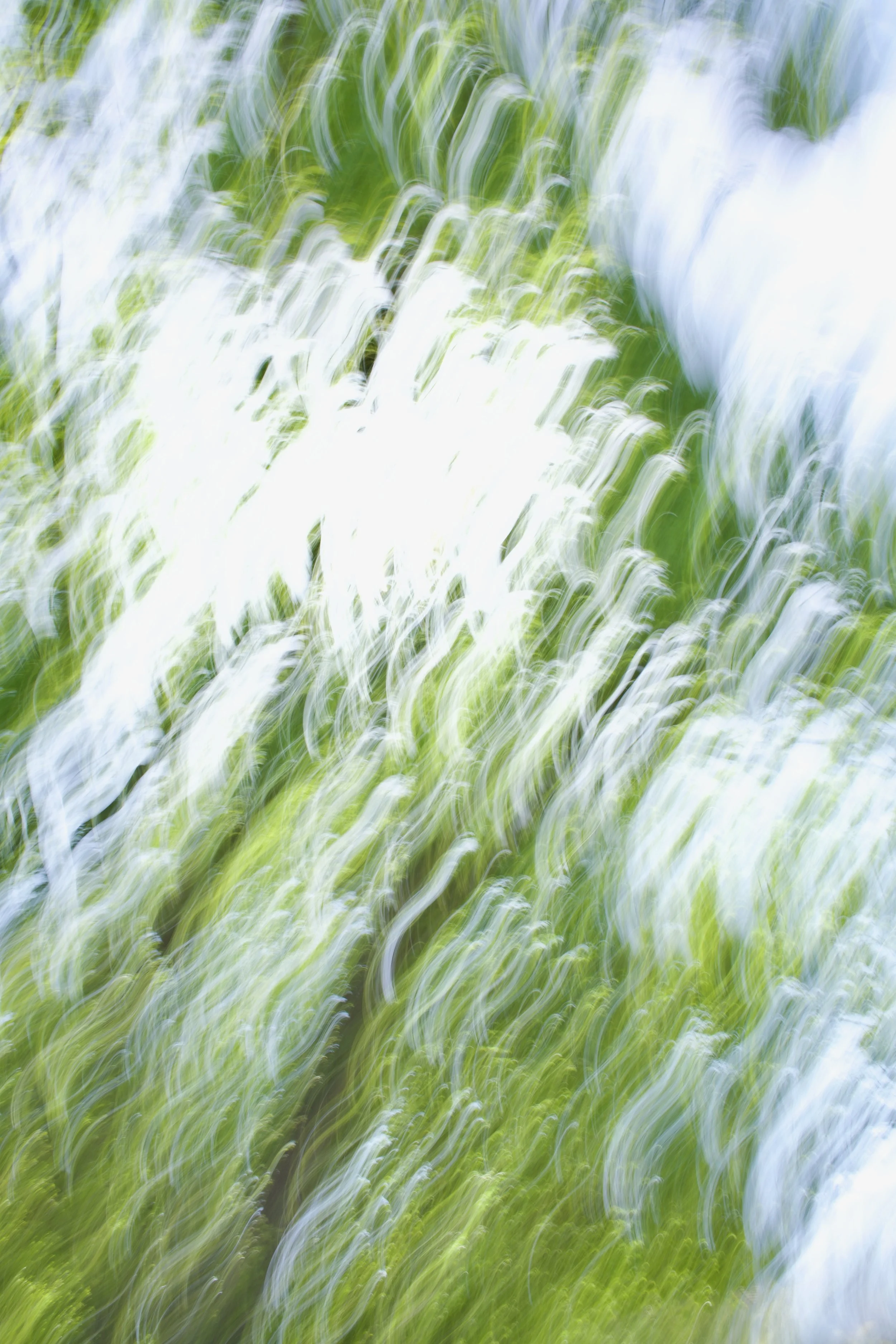  Movement 2023:160 (2023) C-print on wood panel, 60”x40” 