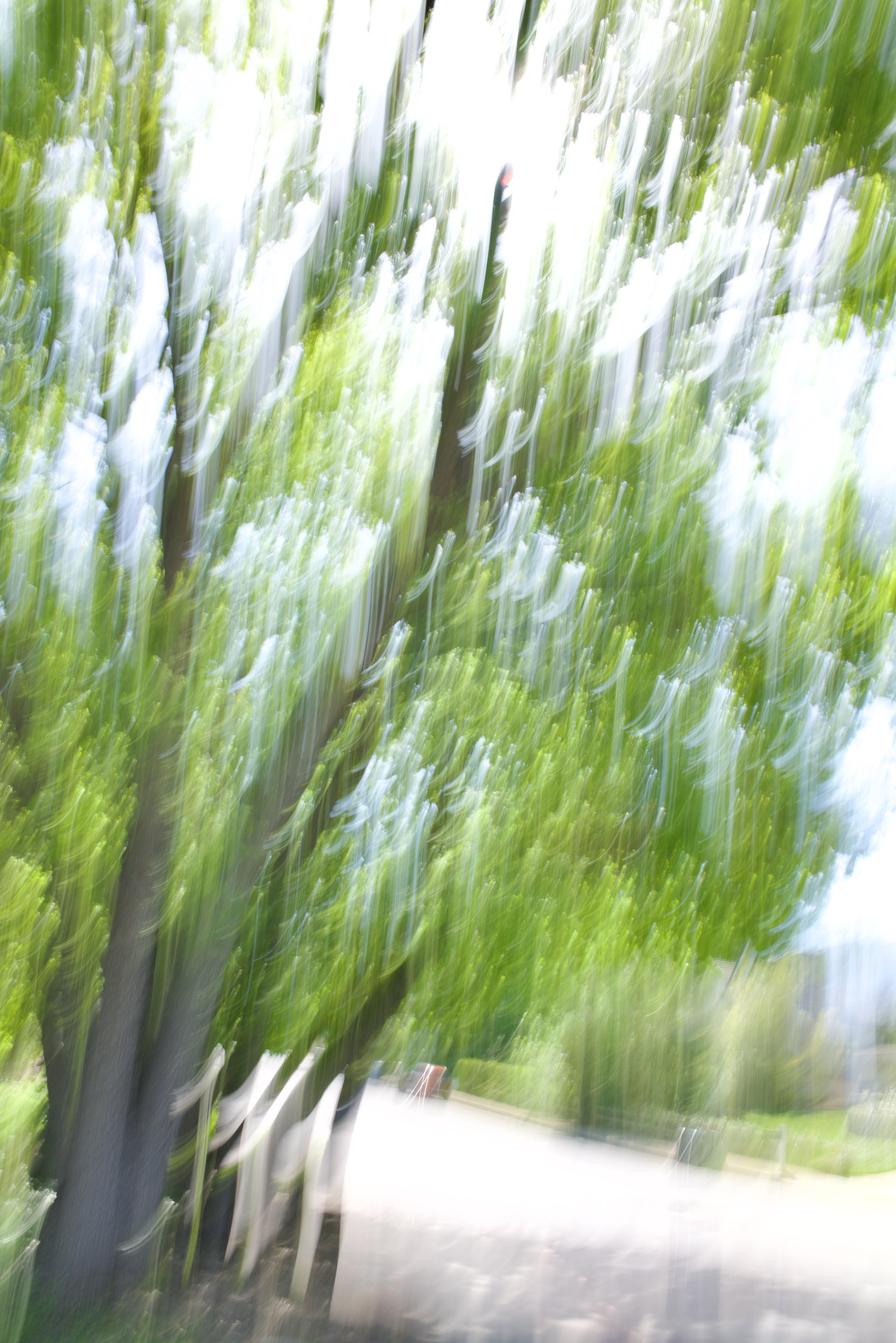  Movement 2023:161 (2023) C-print on wood panel, 60”x40” 