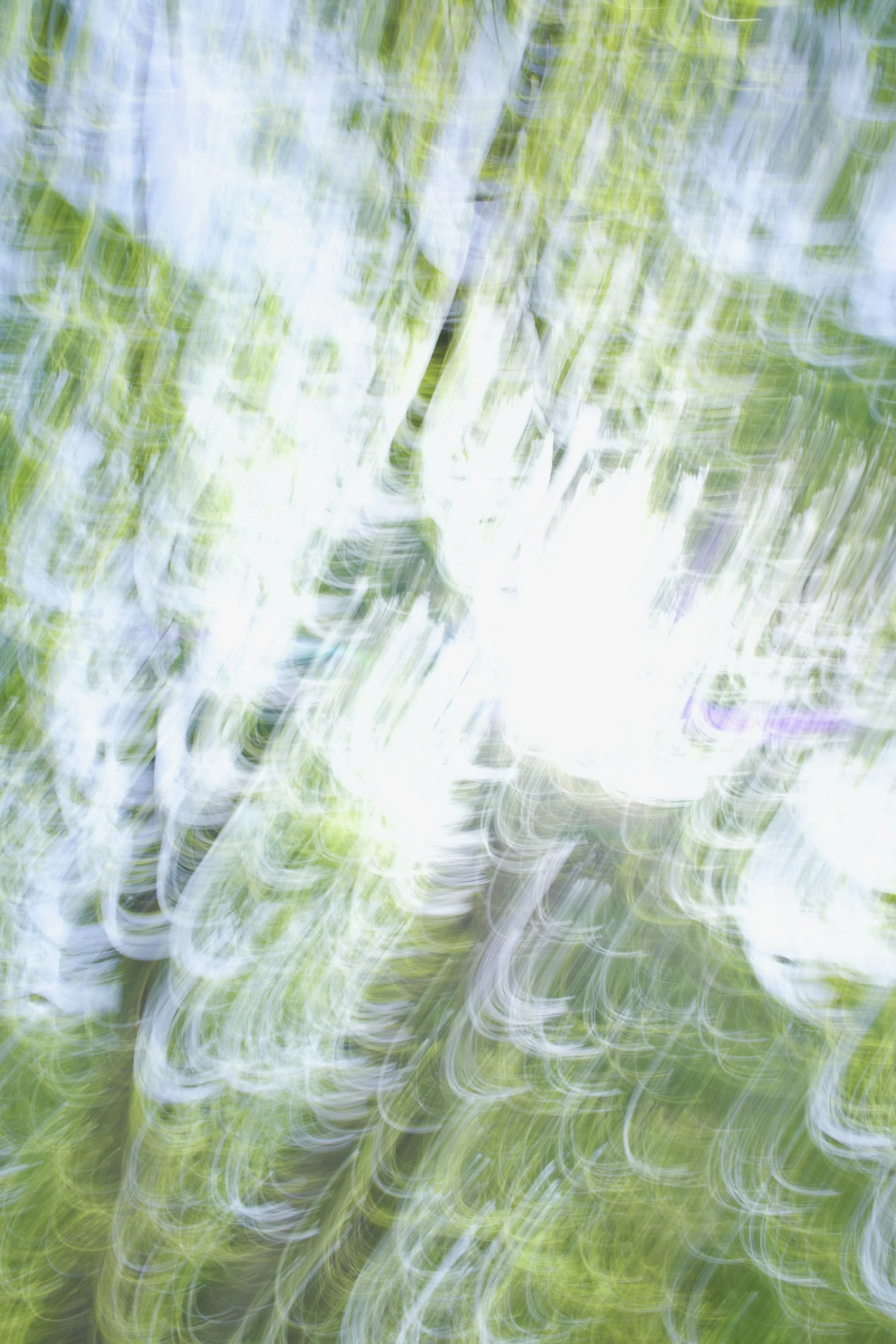  Movement 2023:162 (2023) C-print on wood panel, 60”x40” 