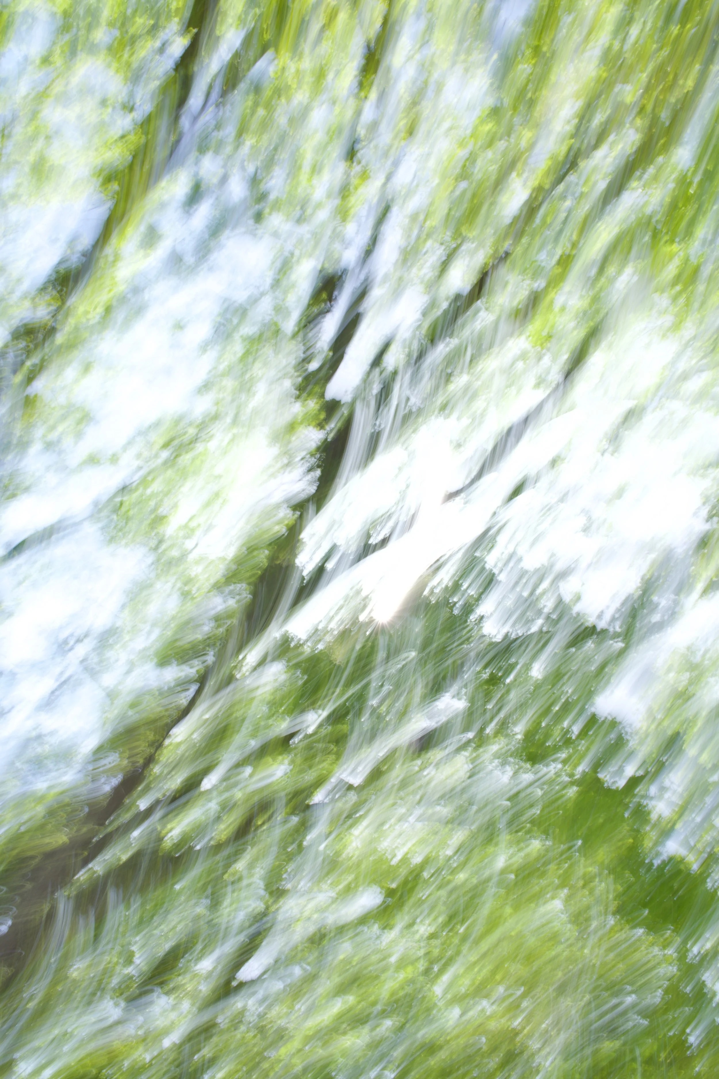  Movement 2023:164 (2023) C-print on wood panel, 60”x40” 