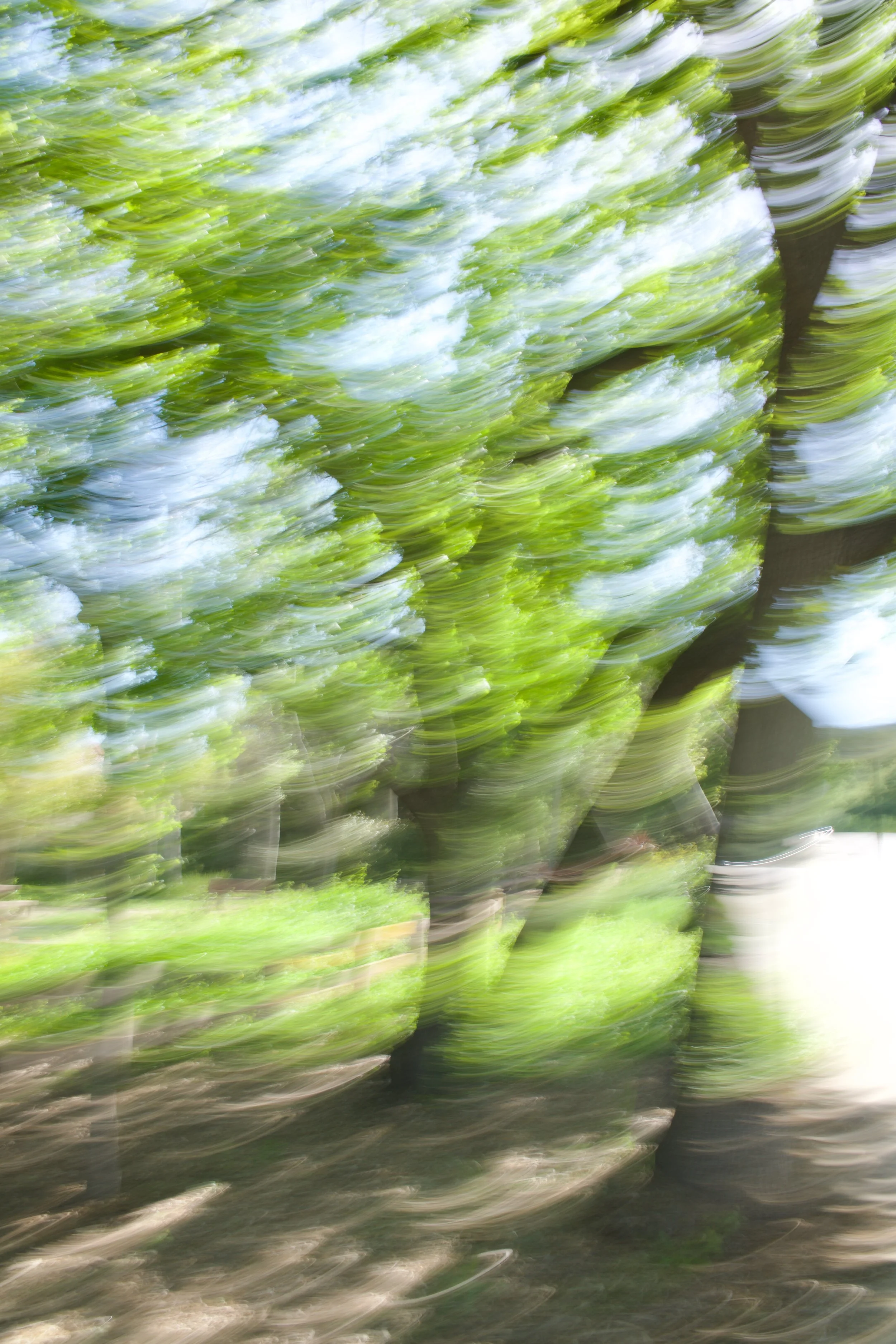  Movement 2023:166 (2023) C-print on wood panel, 60”x40” 