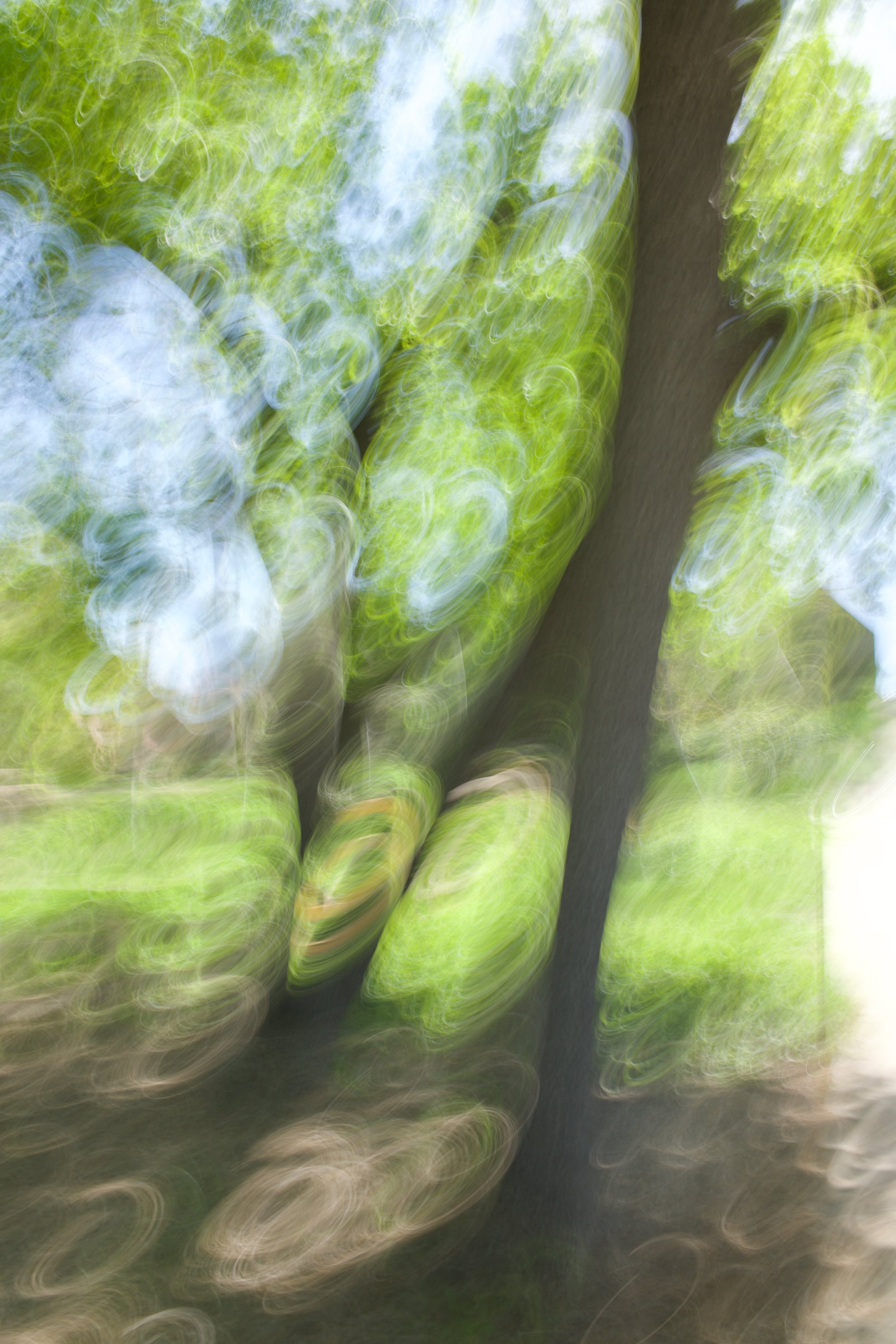  Movement 2023:167 (2023) C-print on wood panel, 60”x40” 