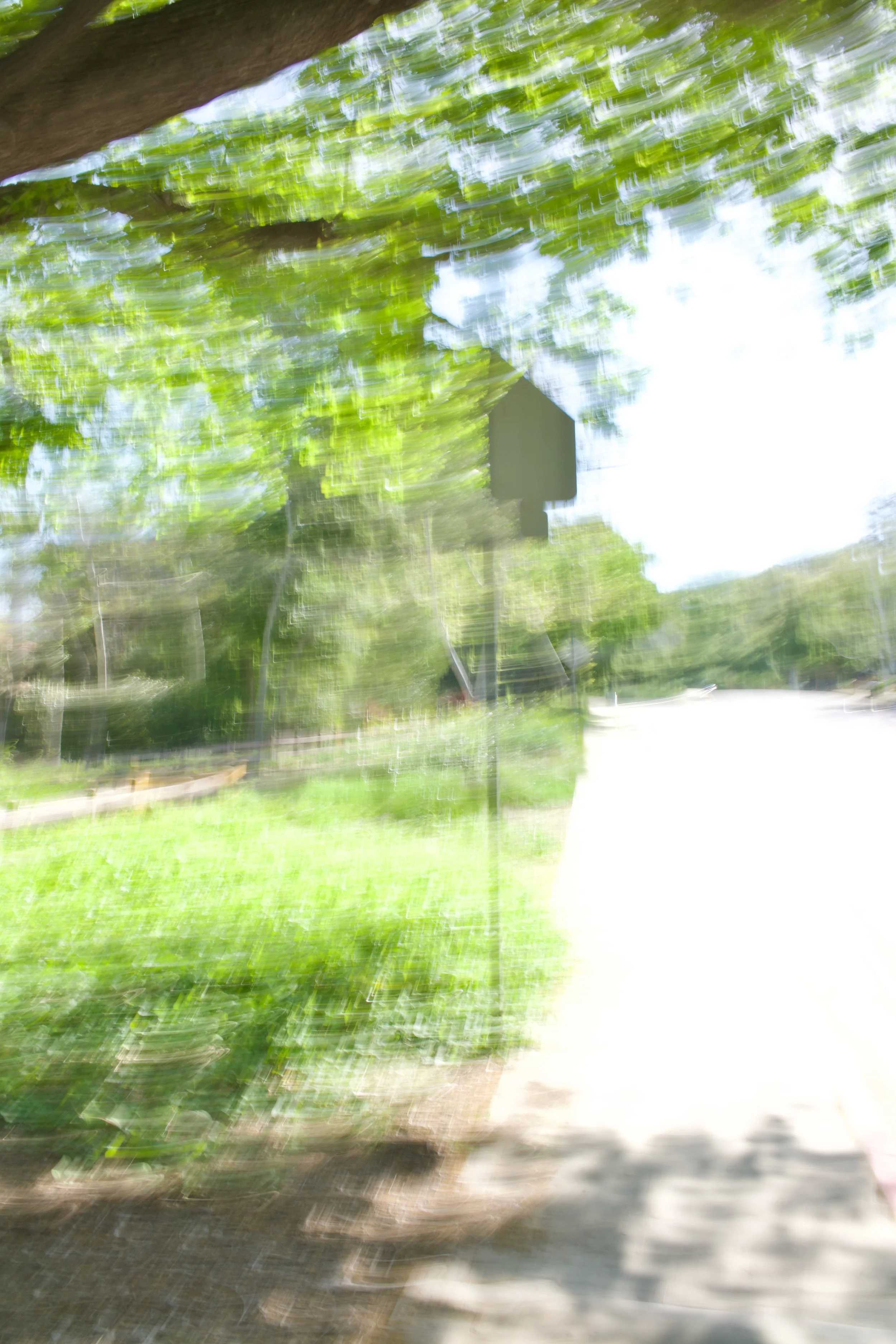  Movement 2023:168 (2023) C-print on wood panel, 60”x40” 