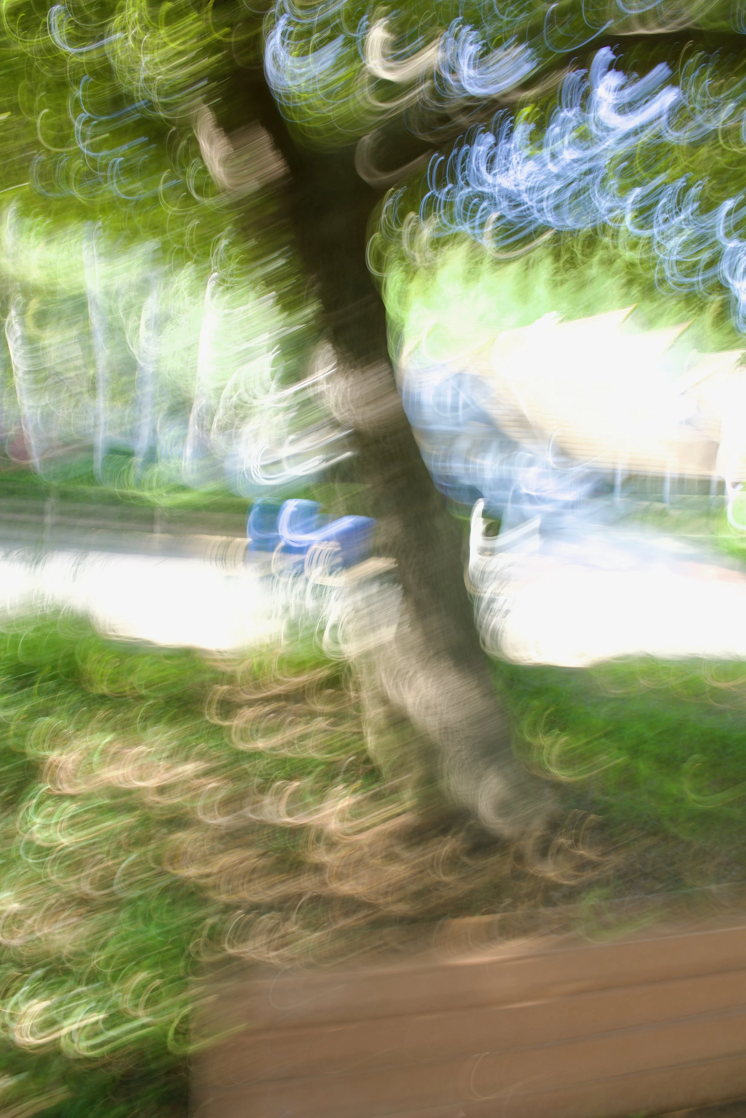  Movement 2023:169 (2023) C-print on wood panel, 60”x40” 