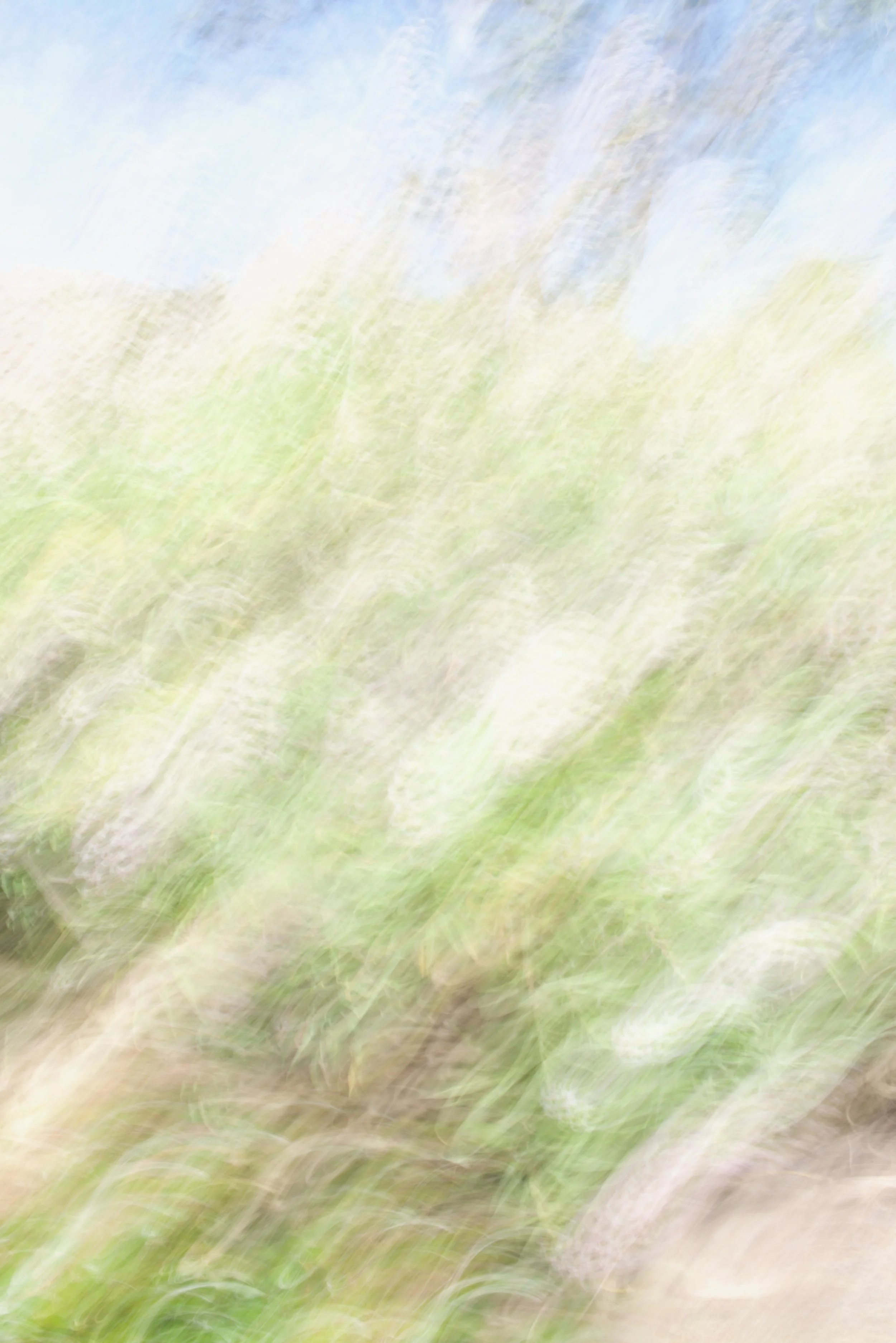  Movement 2023:171 (2023) C-print on wood panel, 60”x40” 